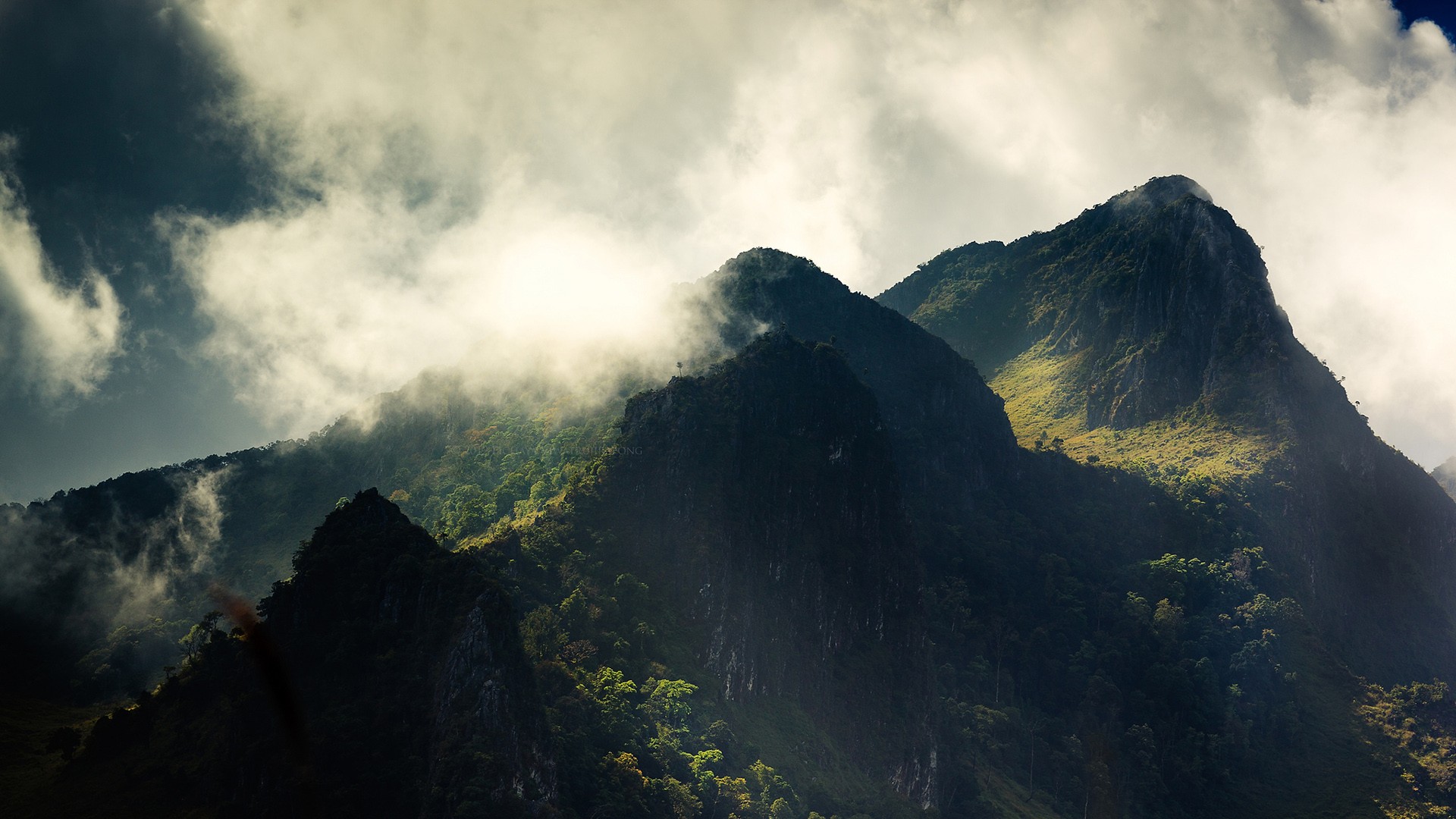Download mobile wallpaper Jungle, Scenic, Mountains, Fog, Forest, Mountain, Earth, Cloud, Sky, Landscape for free.
