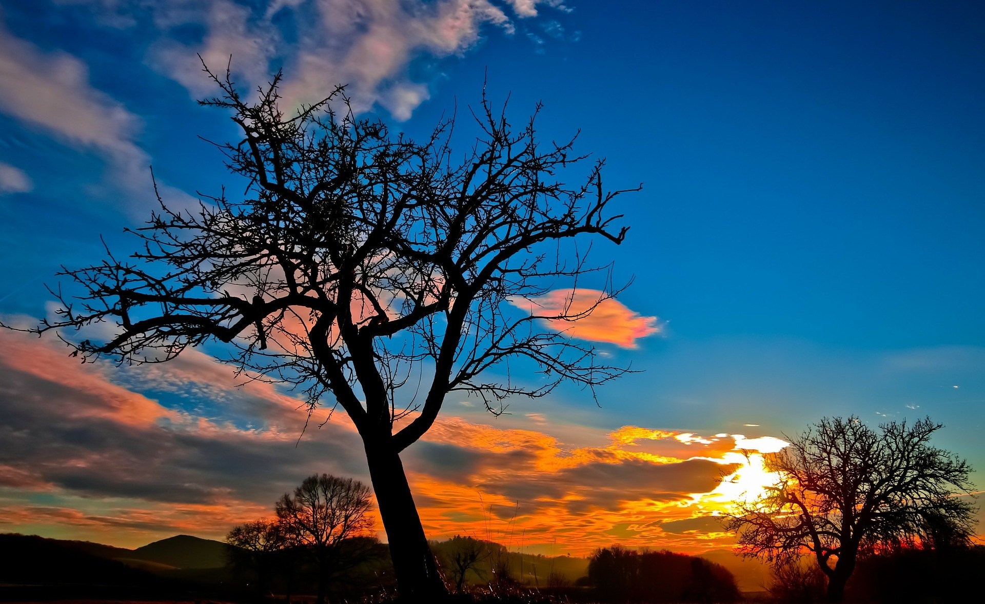 Laden Sie das Bäume, Silhouette, Baum, Sonnenuntergang, Erde/natur-Bild kostenlos auf Ihren PC-Desktop herunter
