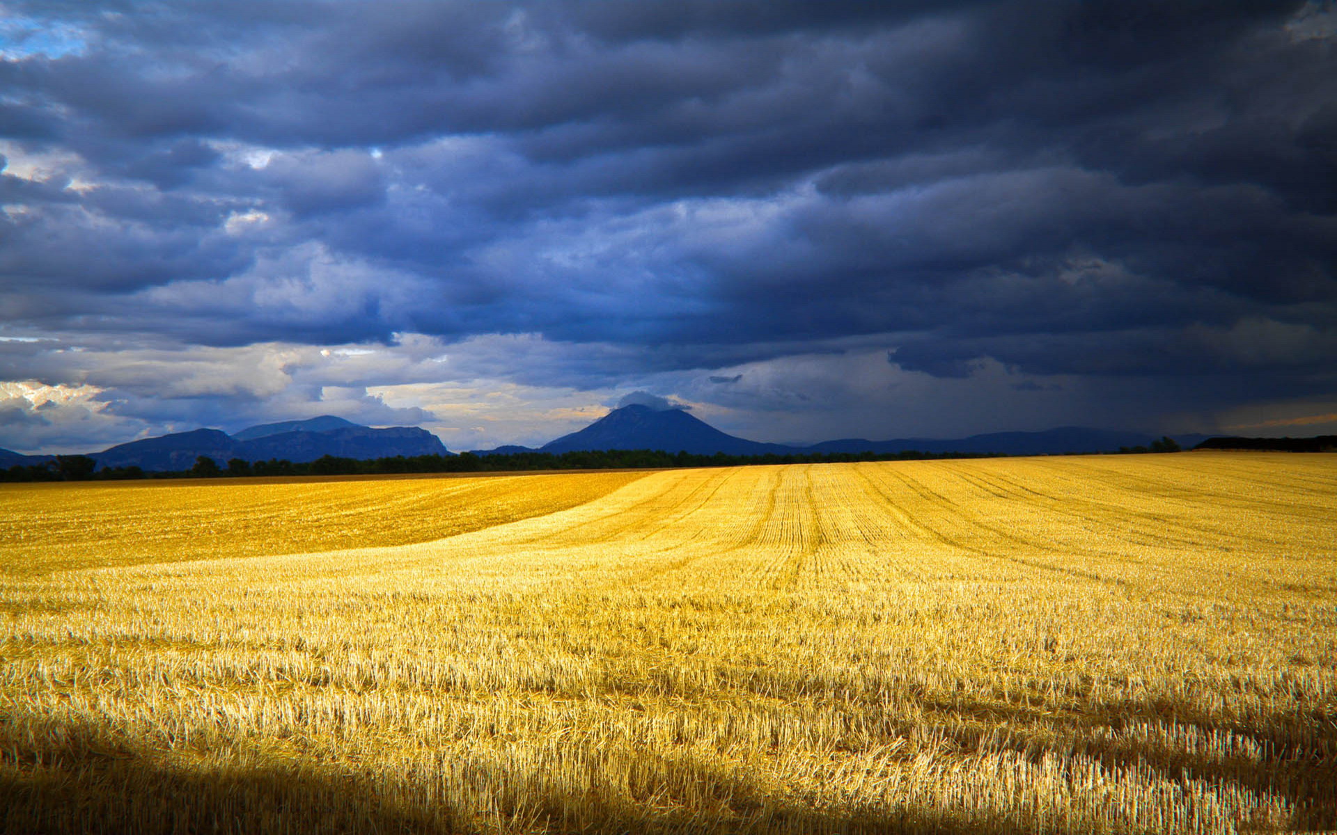 Descarga gratuita de fondo de pantalla para móvil de Campo, Tierra/naturaleza.