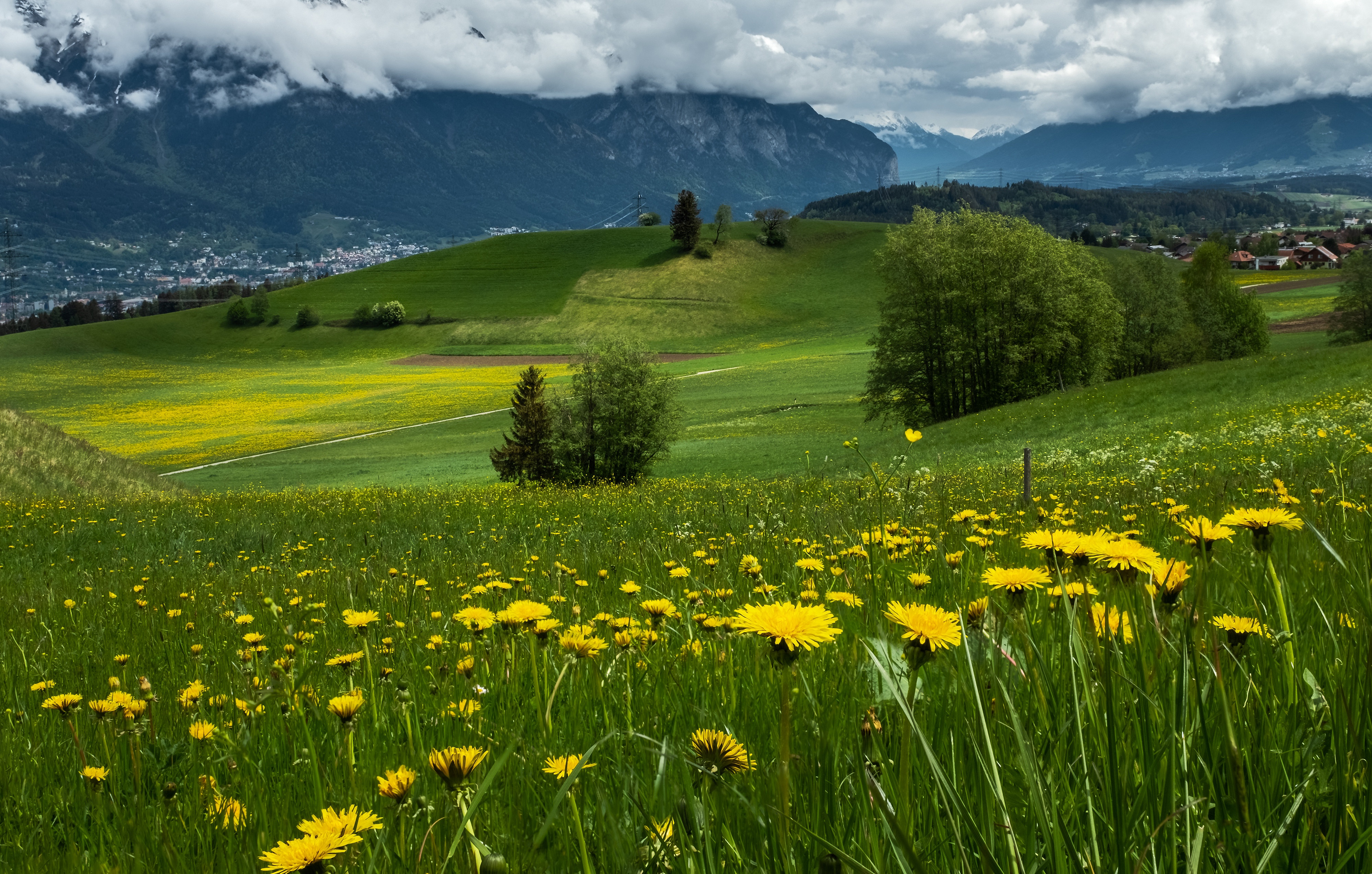 Free download wallpaper Landscape, Grass, Mountain, Field, Meadow, Dandelion, Photography on your PC desktop
