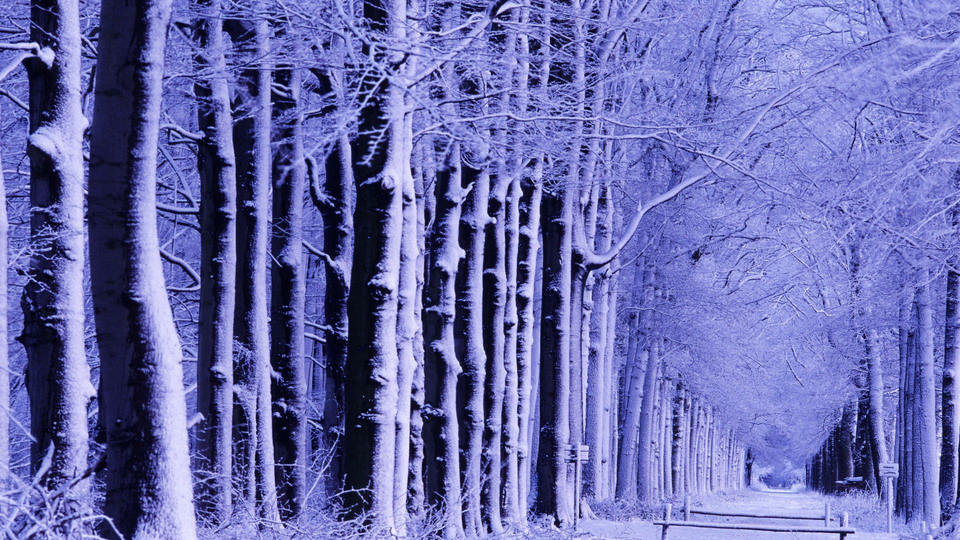 Скачать картинку Лавочка, Деревья, Природа, Снег, Парк, Иней, Зима в телефон бесплатно.