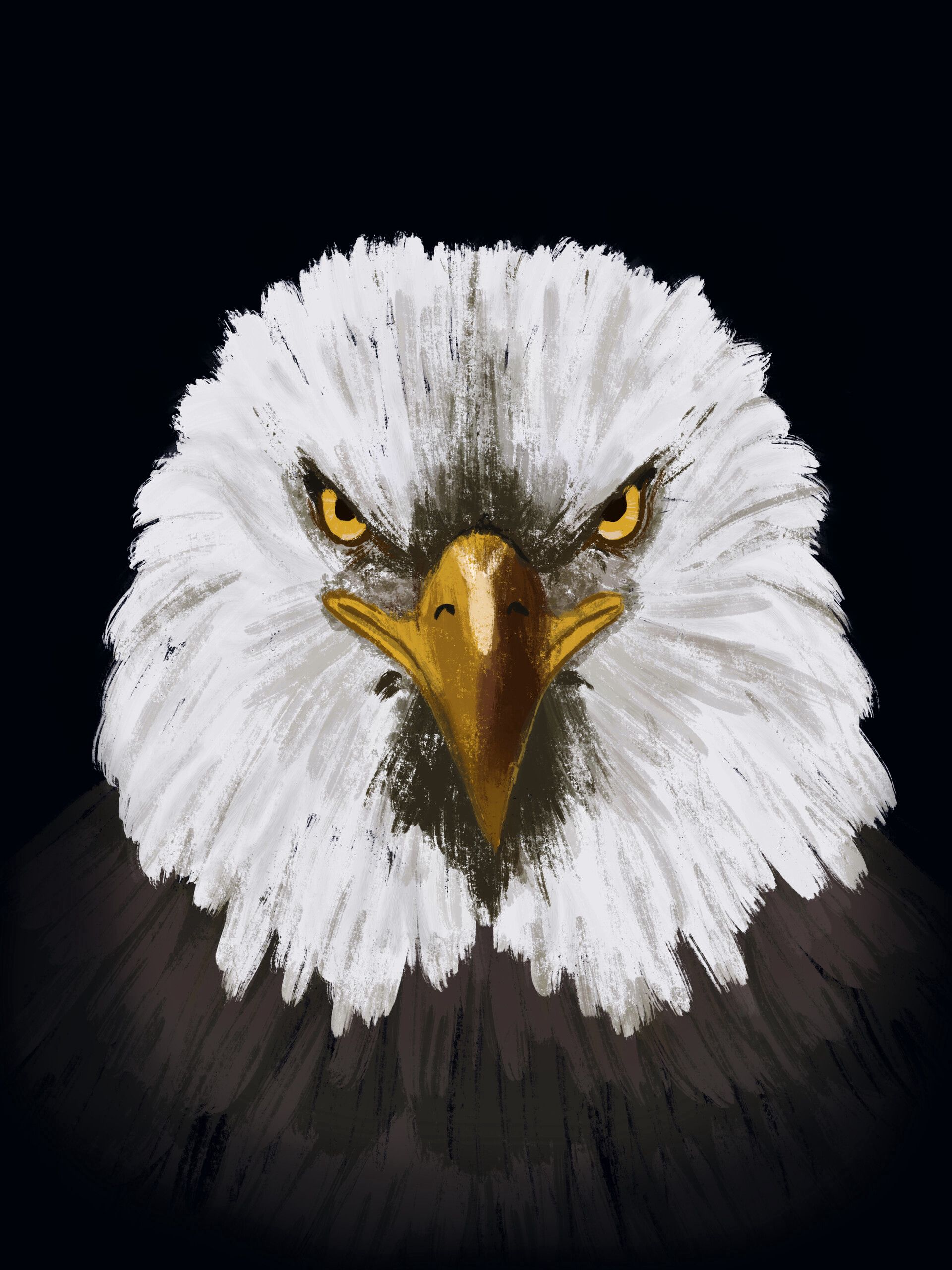 Free download wallpaper Bird, Head, Art, Eagle on your PC desktop