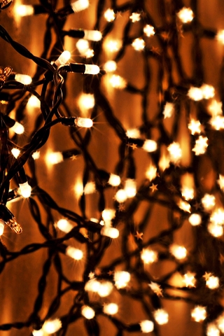 Download mobile wallpaper Christmas, Holiday, Christmas Lights for free.