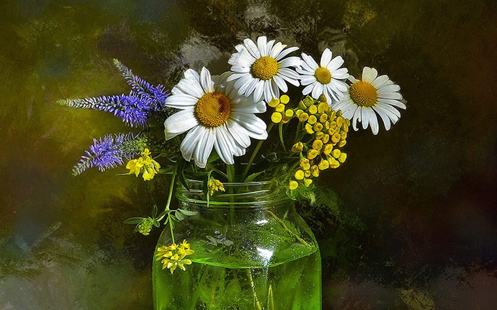 Free download wallpaper Still Life, Flower, Jar, Daisy, Photography, White Flower on your PC desktop