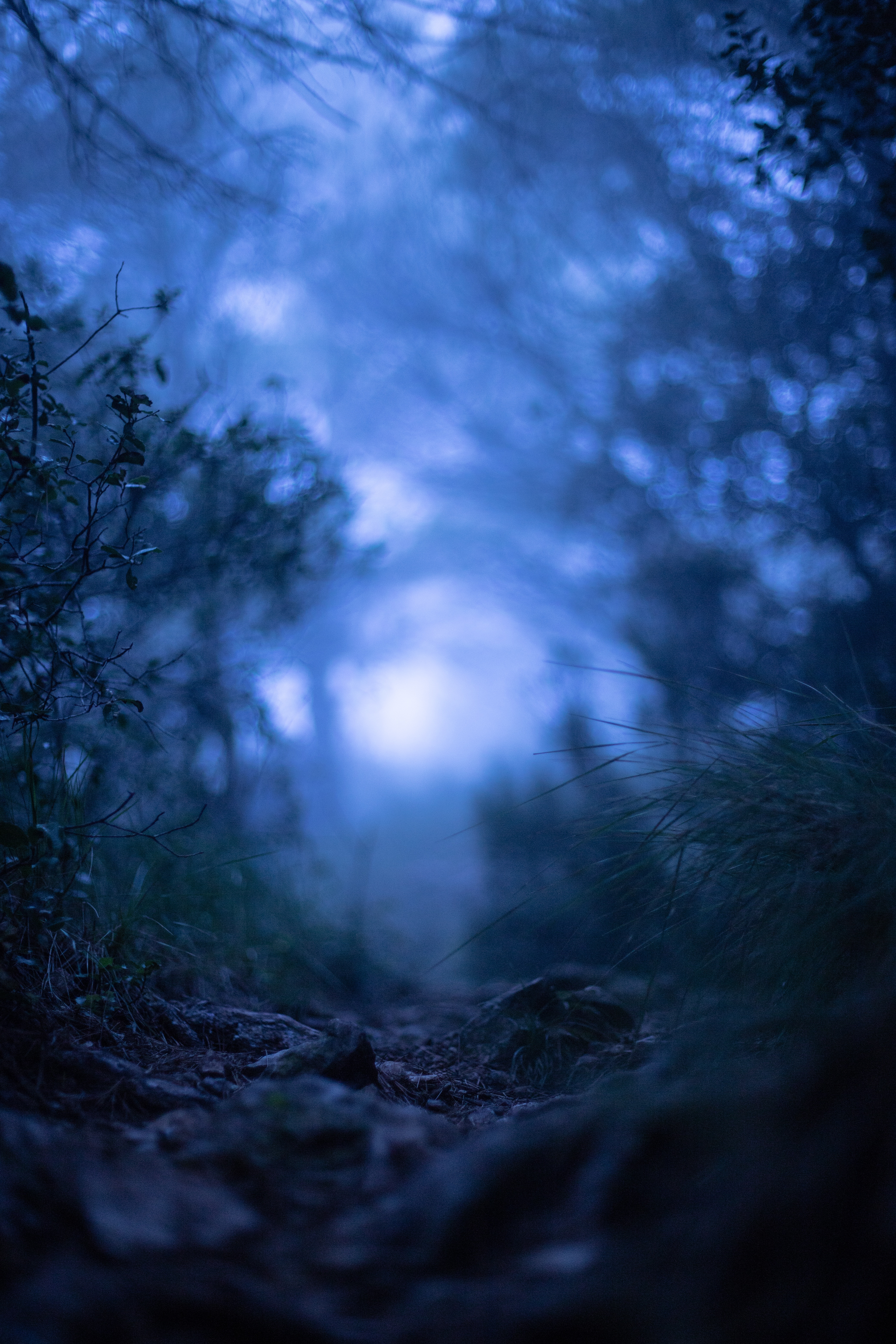 Download mobile wallpaper Fog, Macro, Grass, Smooth, Blur for free.