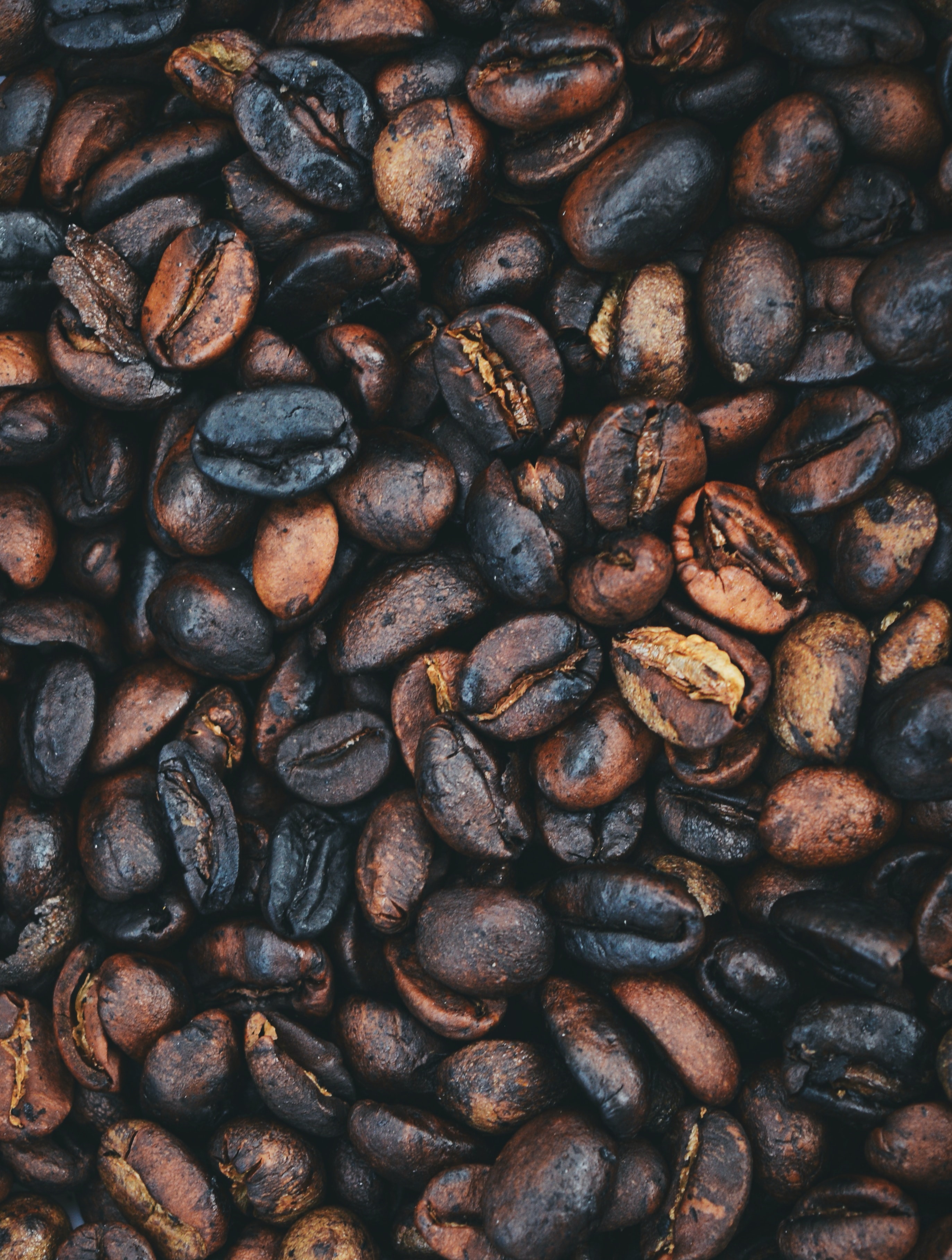 coffee beans, grains, food, coffee, macro, grain