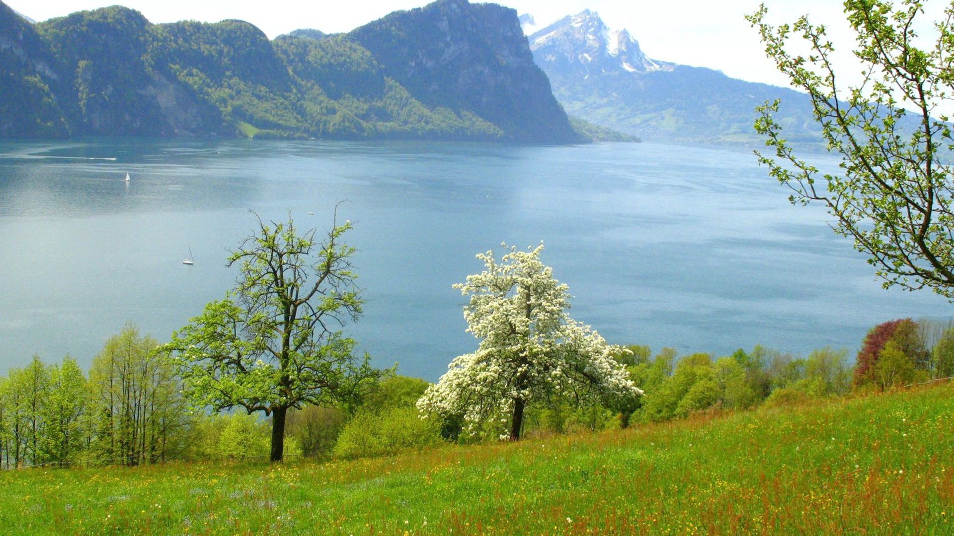 Laden Sie das Grass, Natur, See, Mountains-Bild kostenlos auf Ihren PC-Desktop herunter
