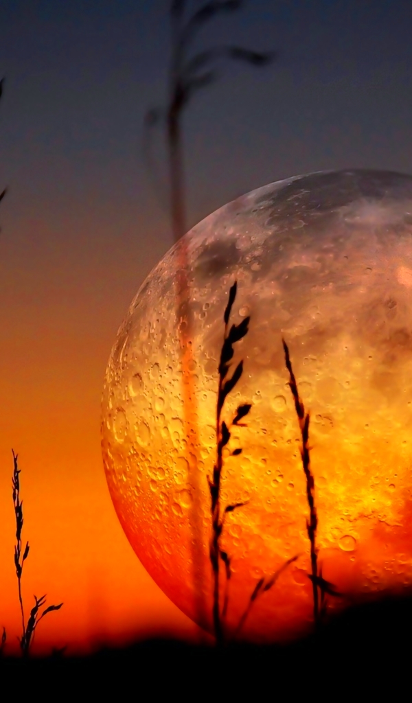 Download mobile wallpaper Nature, Sunset, Moon, Earth for free.