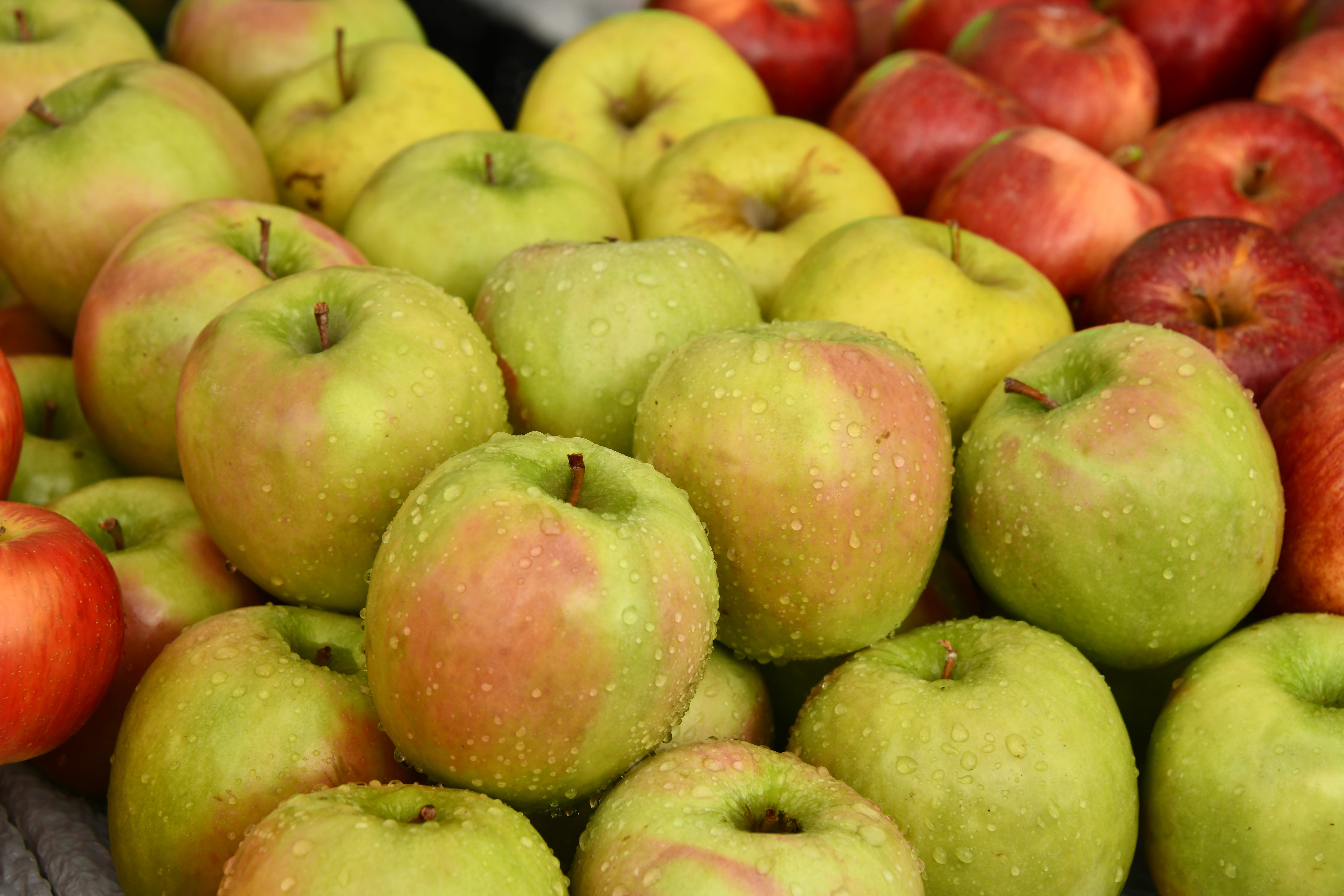 Handy-Wallpaper Lebensmittel, Äpfel, Nass, Drops, Obst kostenlos herunterladen.