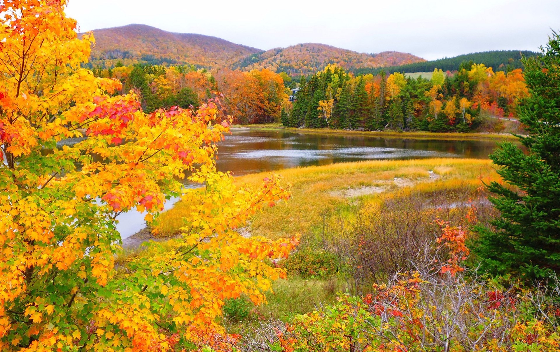 Скачать картинку Пейзаж, Река, Осень, Лес, Земля/природа в телефон бесплатно.