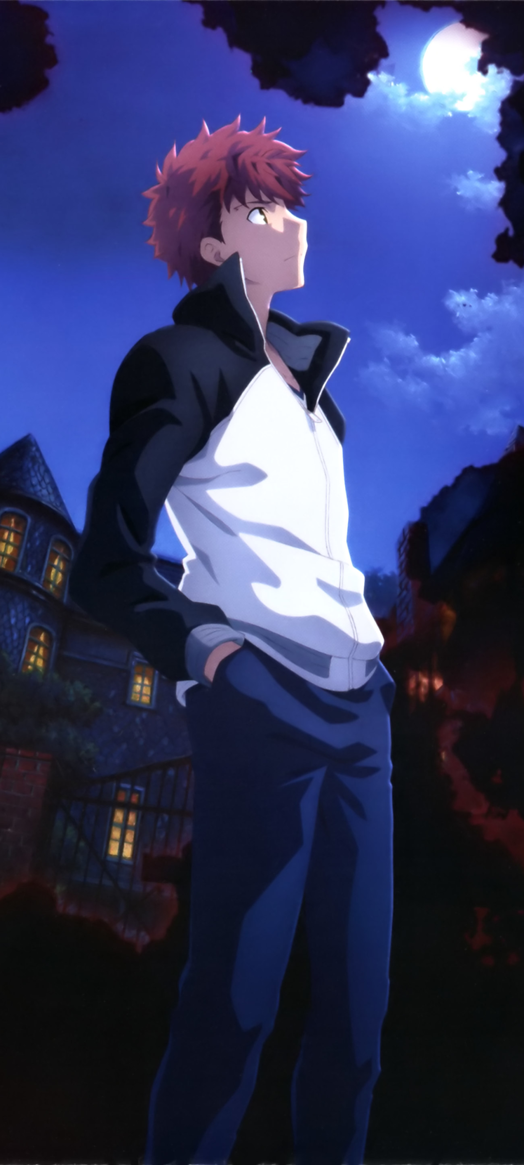 Baixar papel de parede para celular de Anime, Shirou Emiya, Fate/stay Night Filme: Heaven's Feel gratuito.