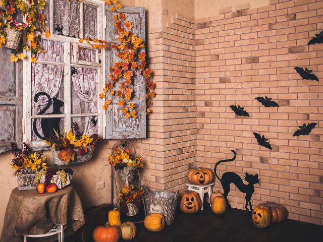 Téléchargez des papiers peints mobile Halloween, Automne, Citrouille, Chat, Vacances, Tomber, Fenêtre, Nature Morte gratuitement.