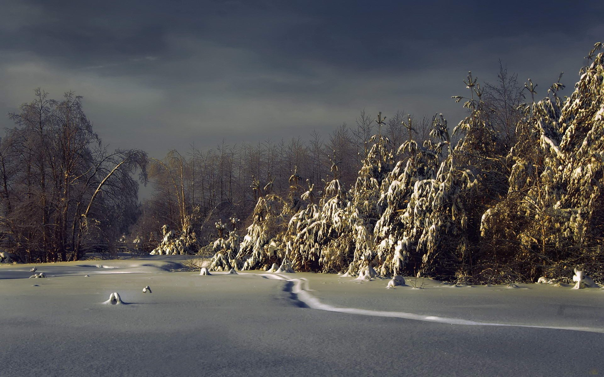 Téléchargez gratuitement l'image Hiver, Terre/nature sur le bureau de votre PC