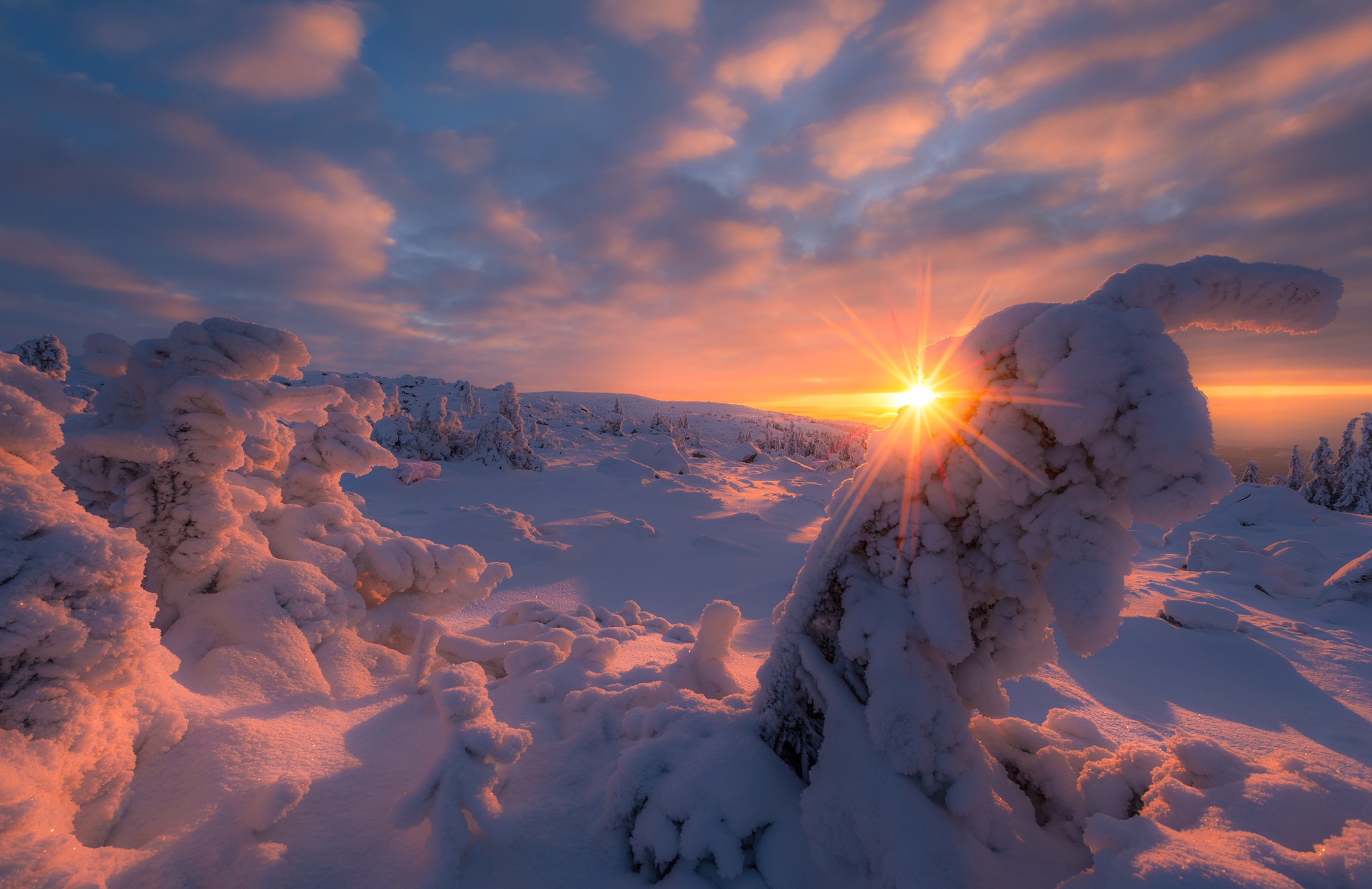 Free download wallpaper Winter, Snow, Sunrise, Earth on your PC desktop