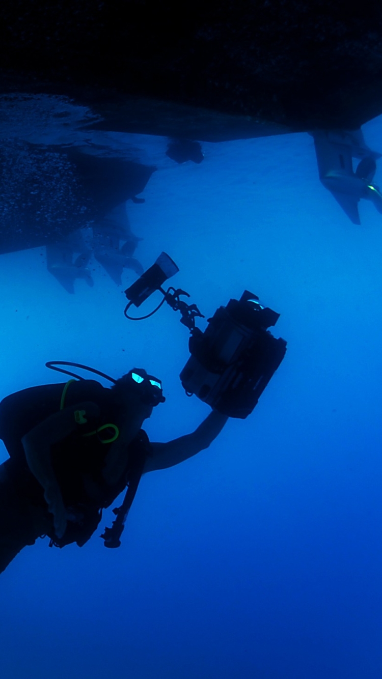 1249143 télécharger le fond d'écran des sports, plongée sous marine, plongeur, caméra, appareil photo, plongée, sous marin, sous l'eau, océan - économiseurs d'écran et images gratuitement