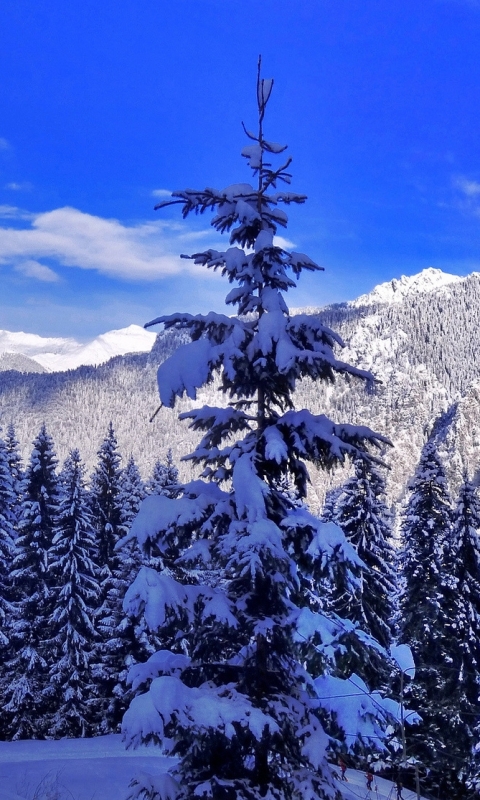 Téléchargez des papiers peints mobile Hiver, Terre/nature gratuitement.