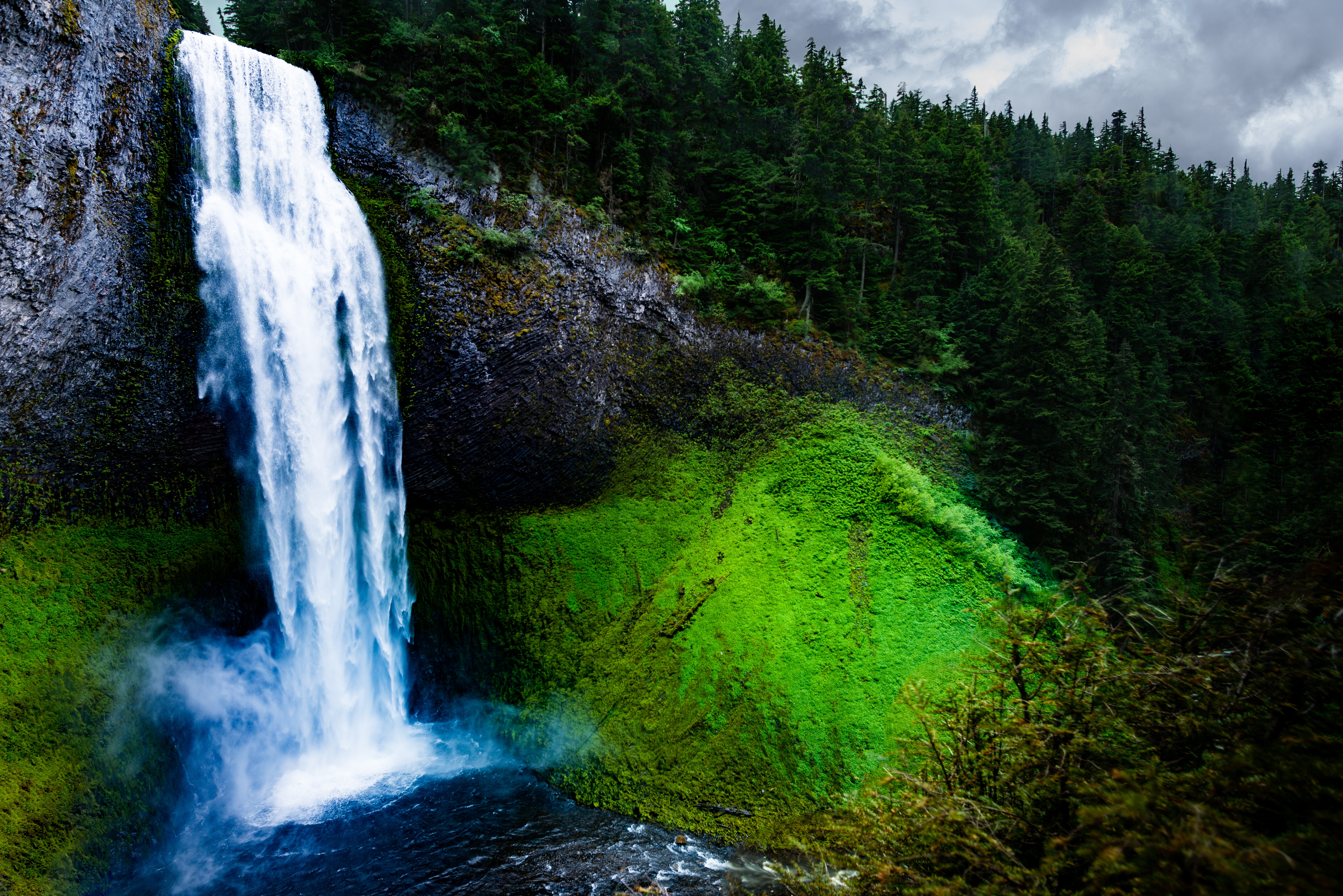 Laden Sie das Wasserfall, Baum, Moos, Erde/natur-Bild kostenlos auf Ihren PC-Desktop herunter