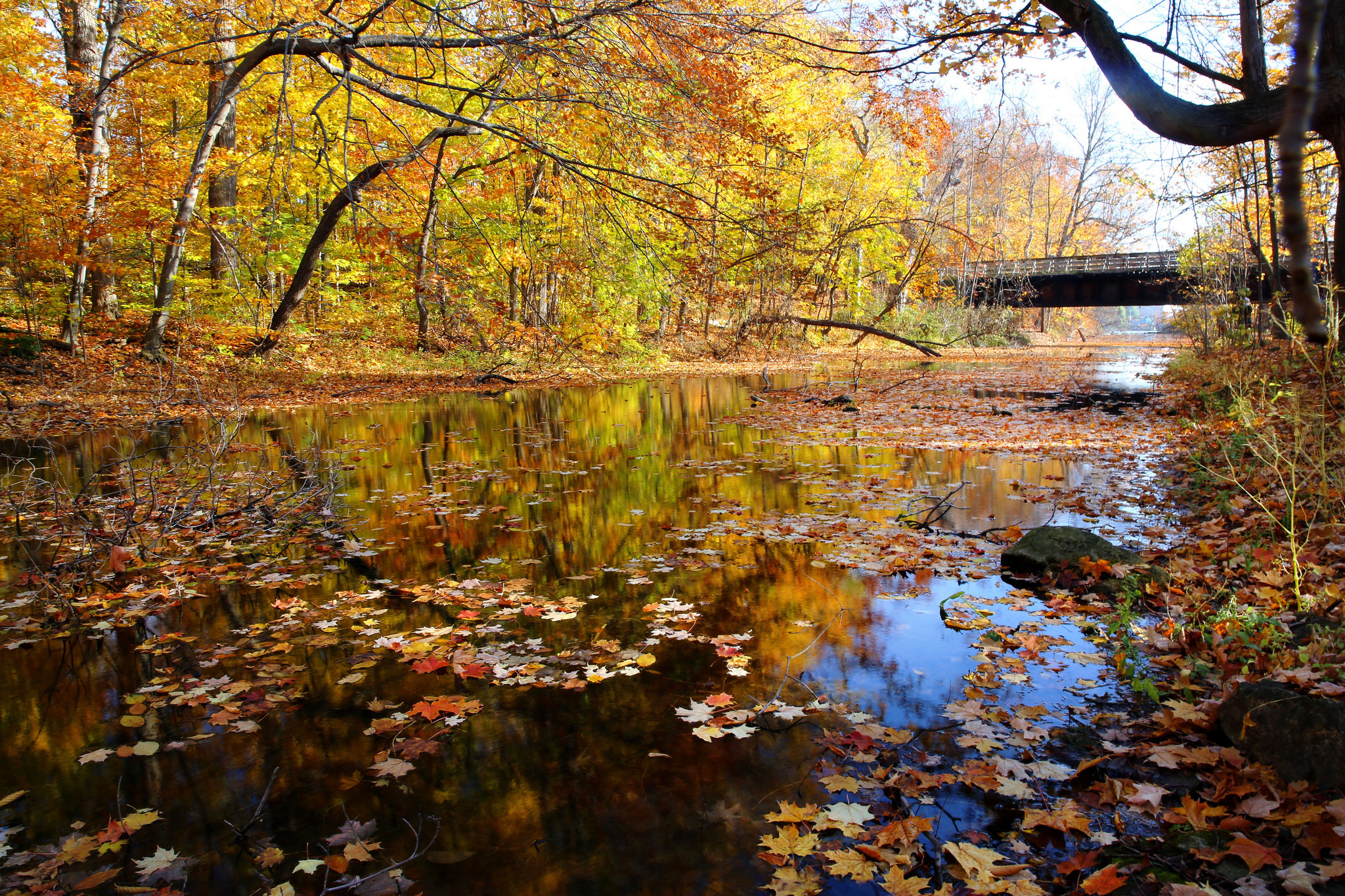 Download mobile wallpaper Nature, Reflection, Leaf, Fall, Earth, River for free.