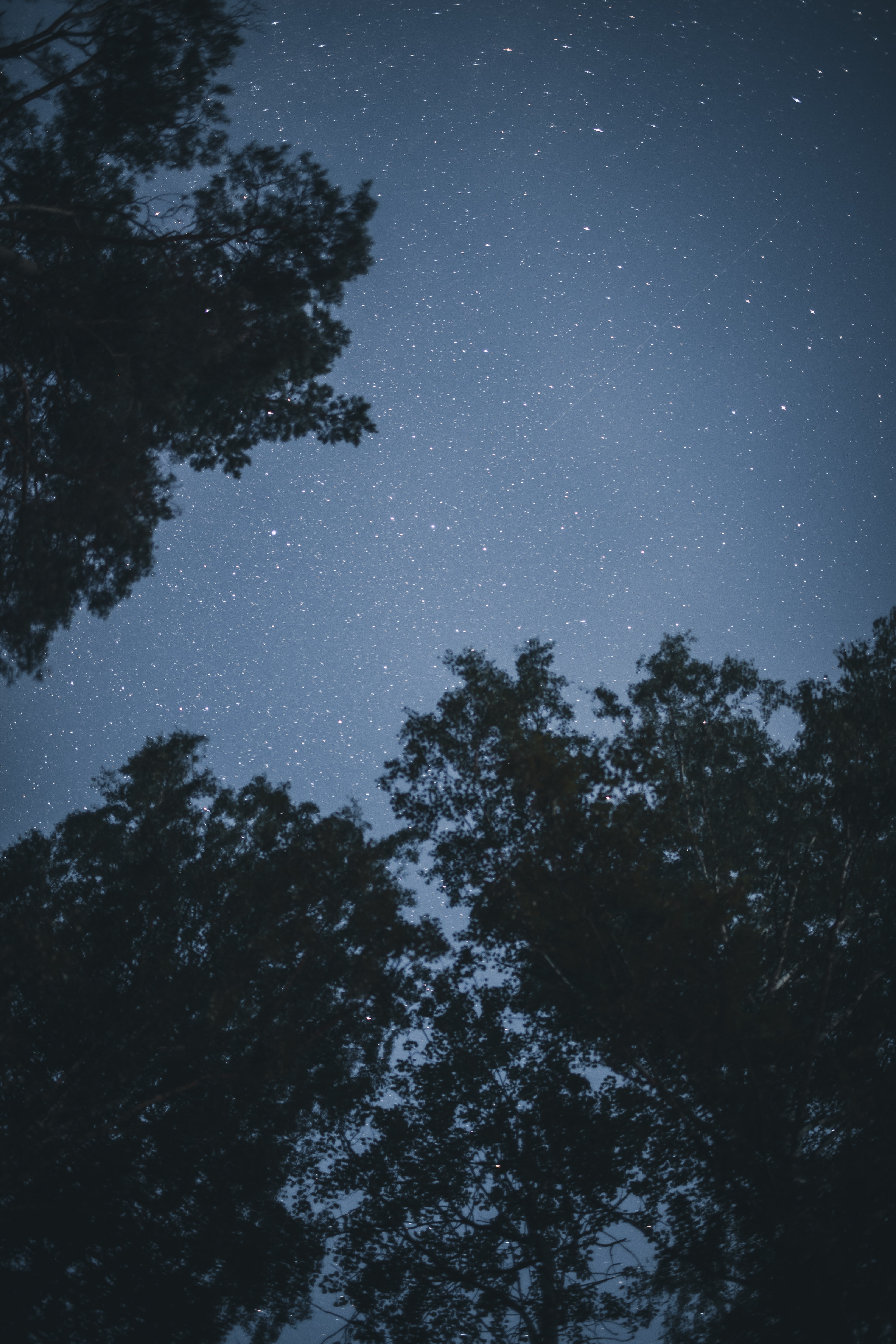 Free download wallpaper Trees, Starry Sky, Stars, Night, Dark on your PC desktop