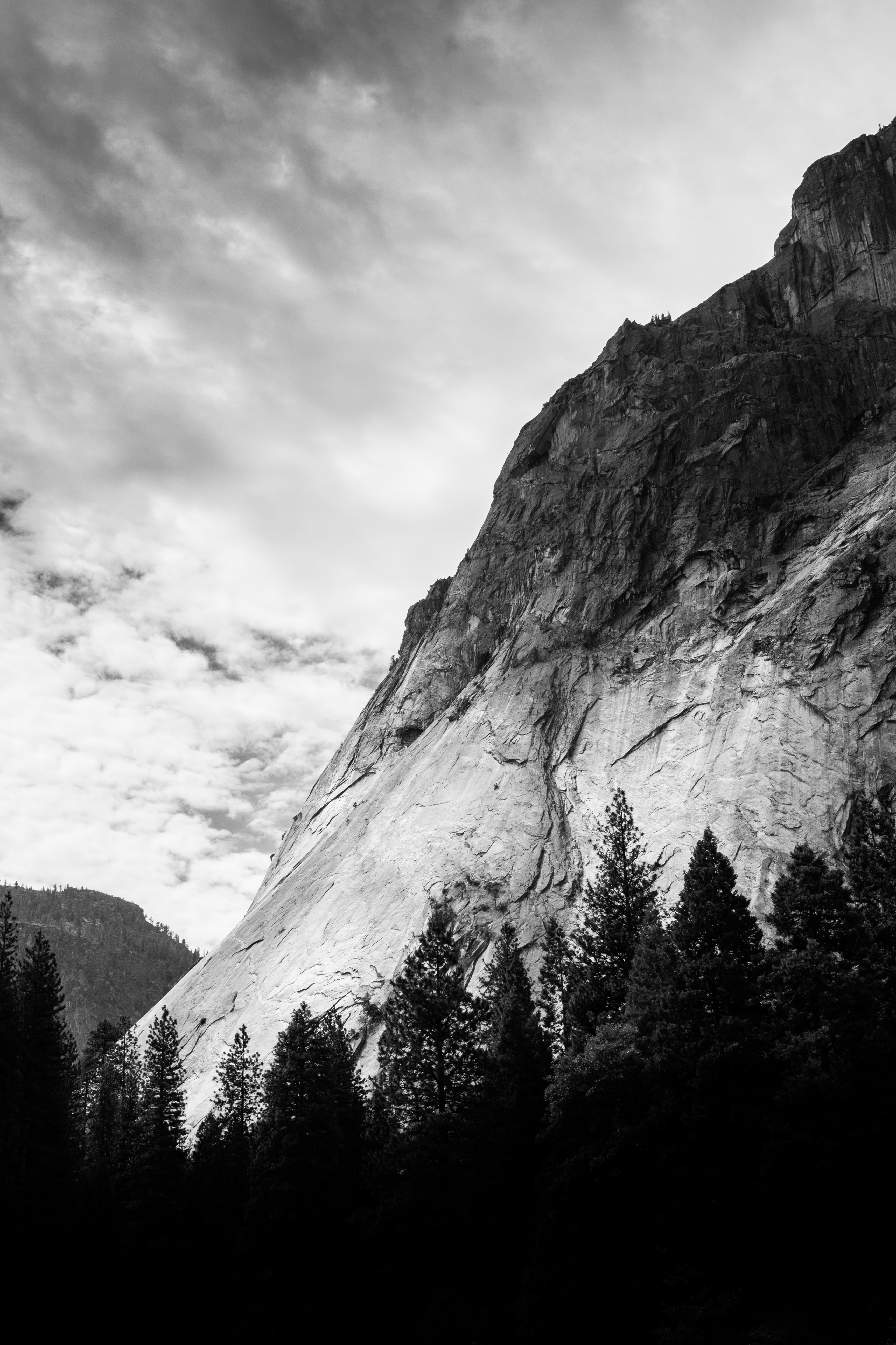 53694 descargar imagen en blanco y negro, naturaleza, árboles, nubes, montaña, bw, chb, blanco y negro: fondos de pantalla y protectores de pantalla gratis