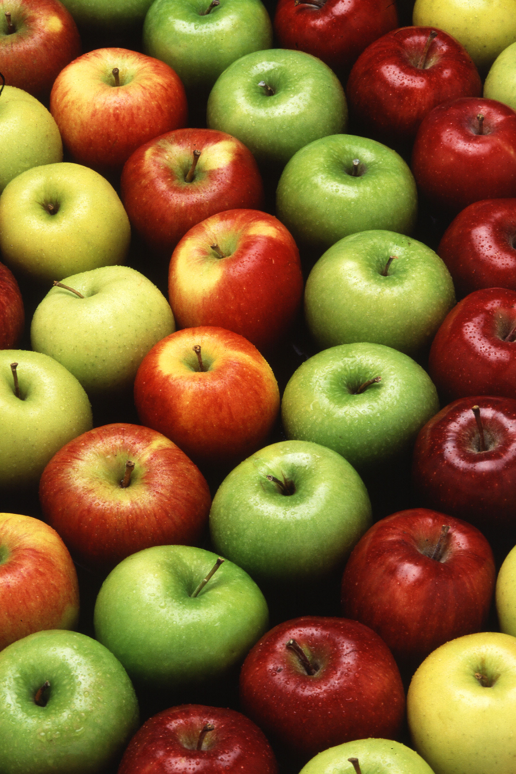 Download mobile wallpaper Ripe, Motley, Wet, Food, Multicolored, Apples for free.