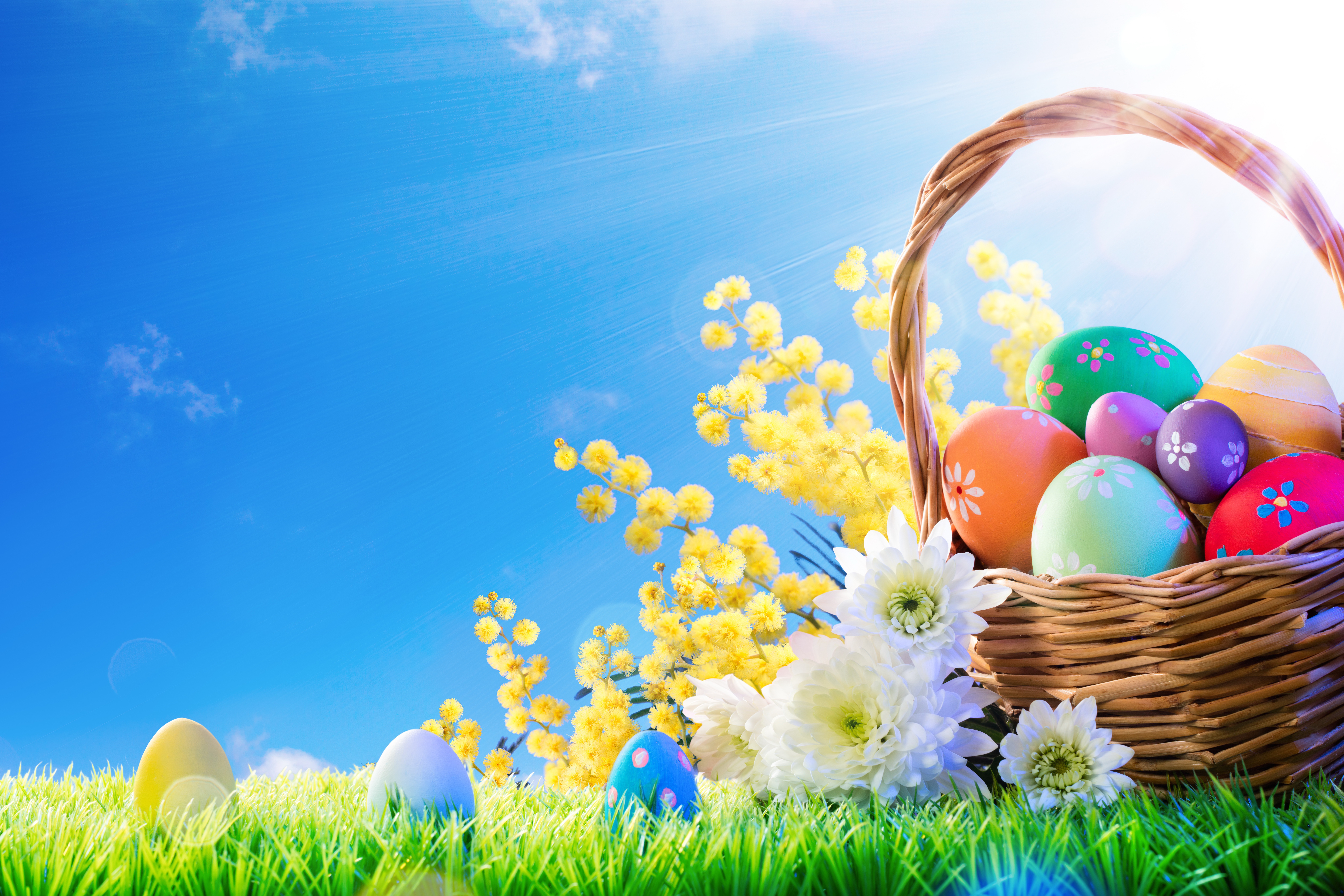 Скачати мобільні шпалери Великдень, Квітка, Свято, Кошик, Пасхальне Яйце безкоштовно.