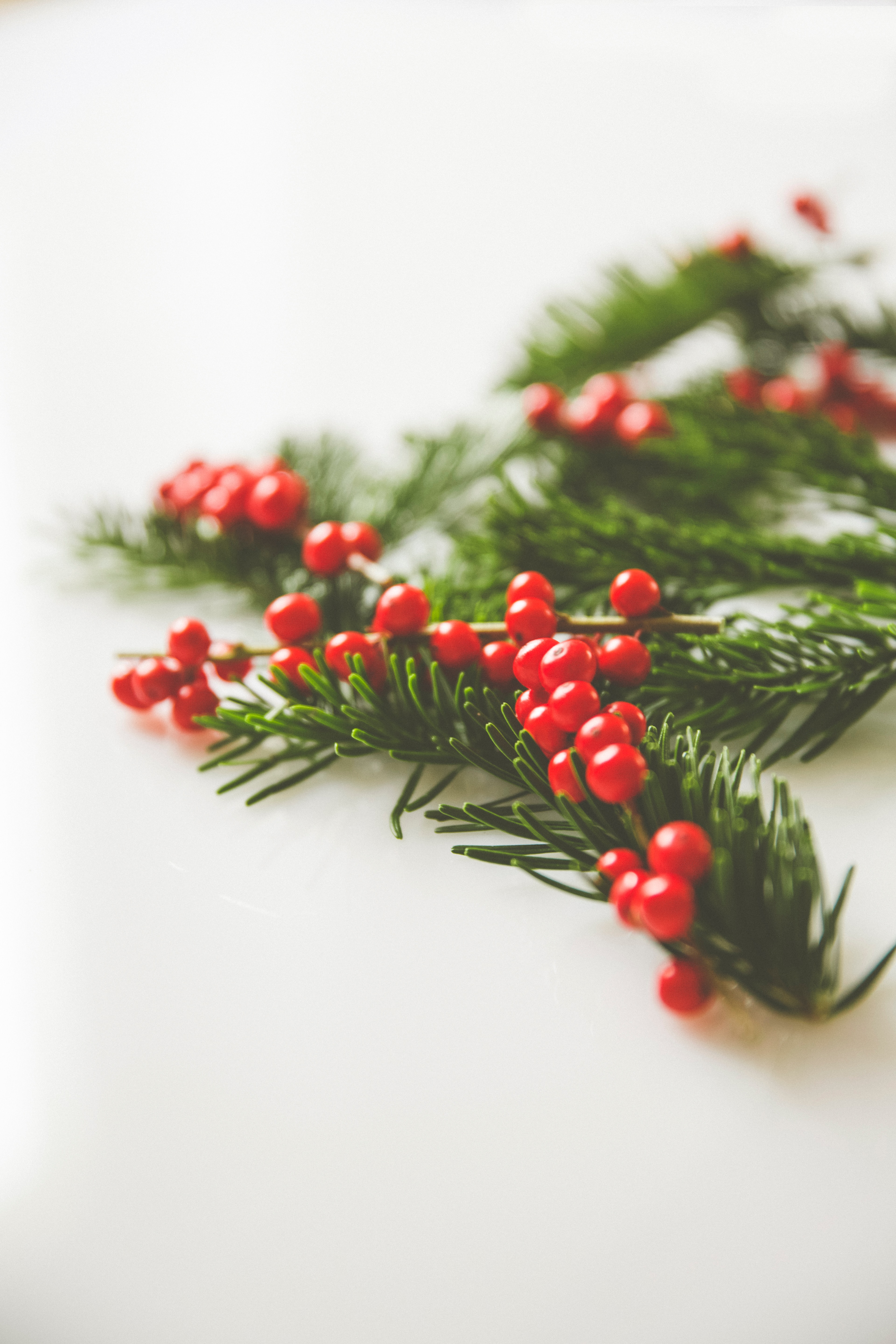Download mobile wallpaper Needles, Macro, Branches, Berries, Christmas Tree for free.