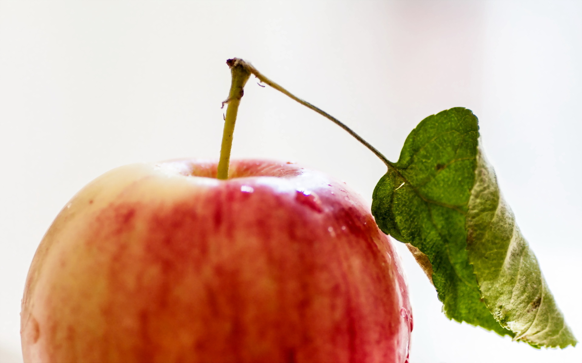 Laden Sie das Früchte, Nahrungsmittel, Apfel-Bild kostenlos auf Ihren PC-Desktop herunter