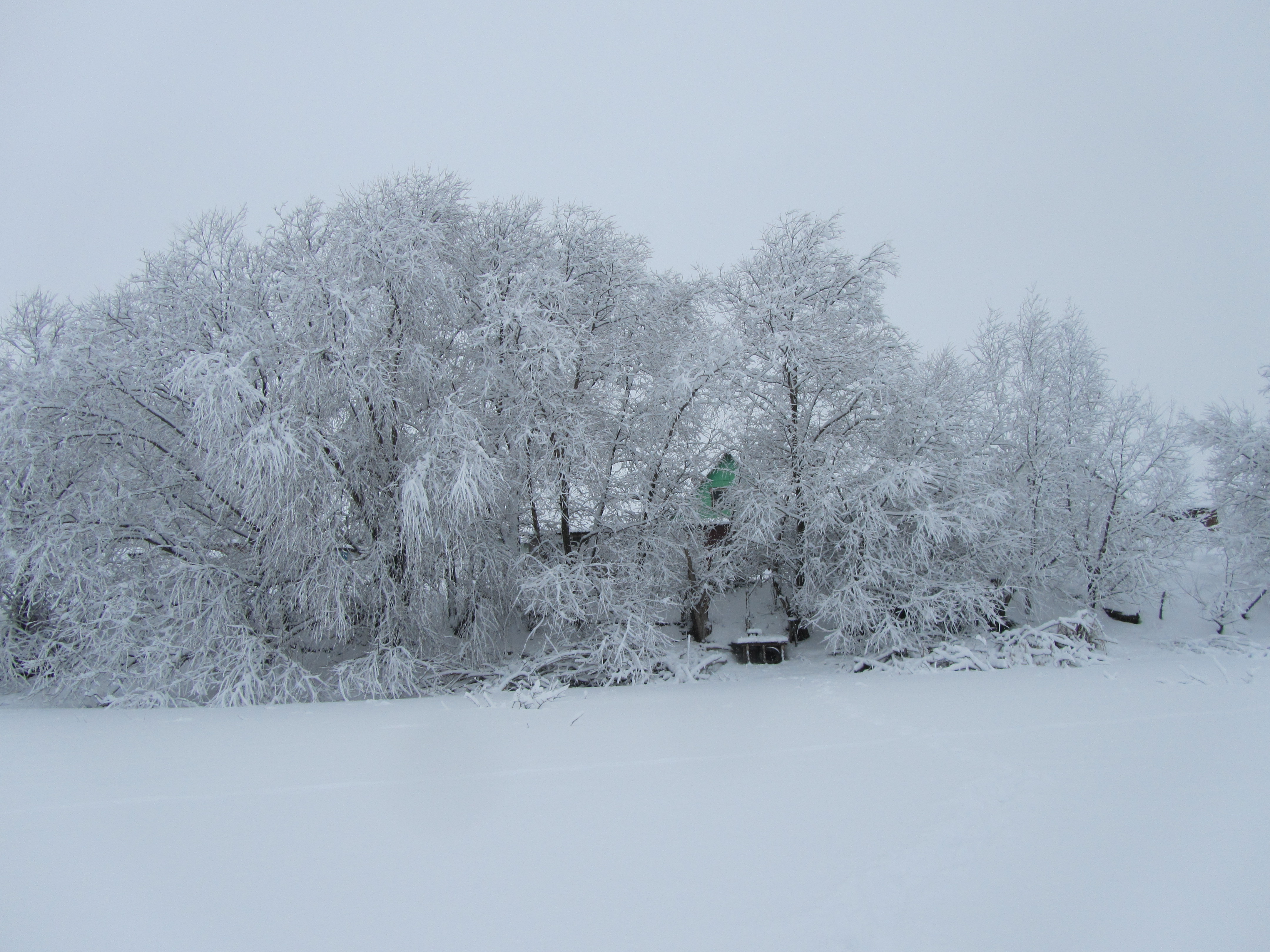 Téléchargez des papiers peints mobile Hiver, Terre/nature gratuitement.