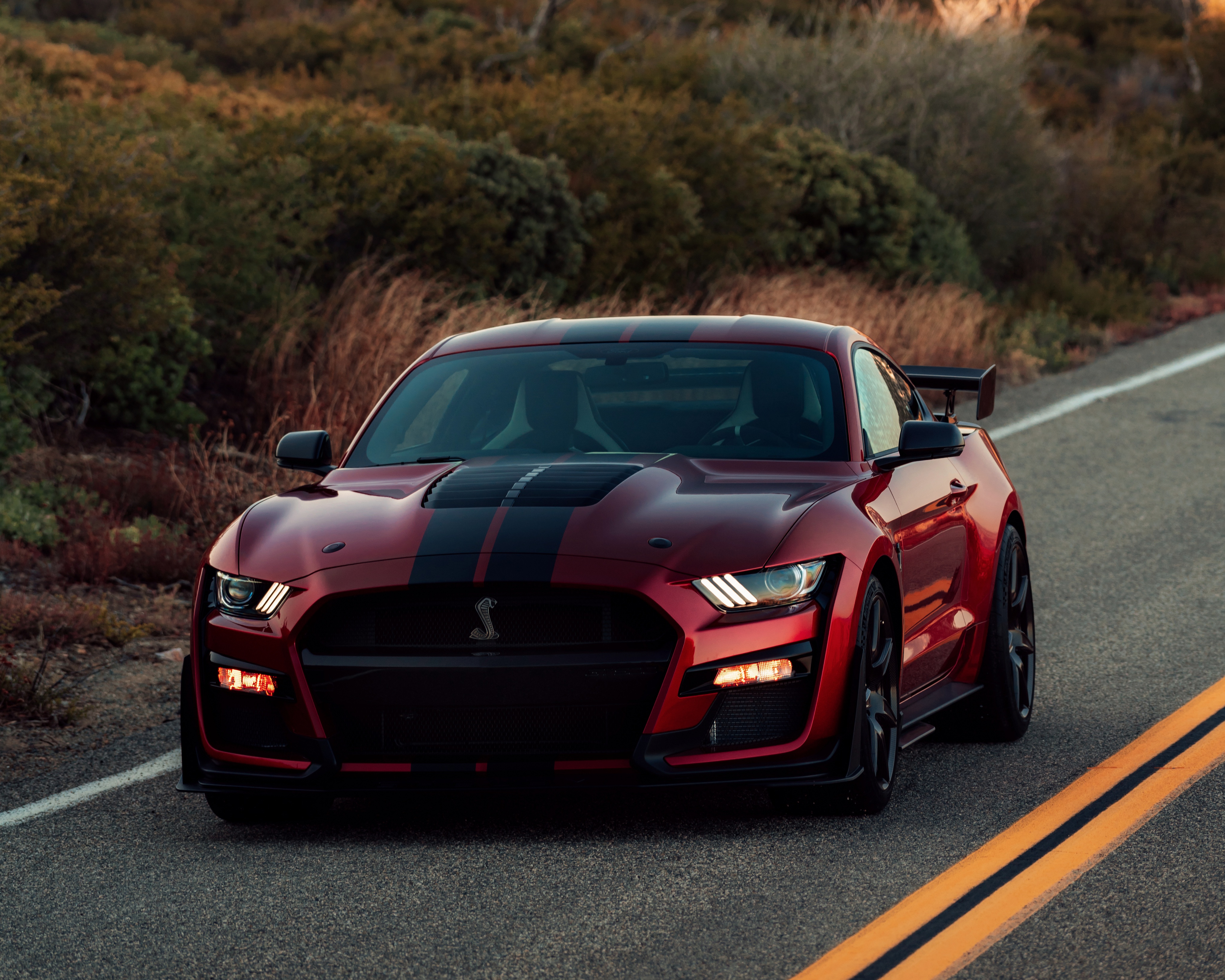 Free download wallpaper Ford, Car, Ford Mustang, Muscle Car, Ford Mustang Shelby Gt500, Vehicles, Ford Mustang Shelby on your PC desktop