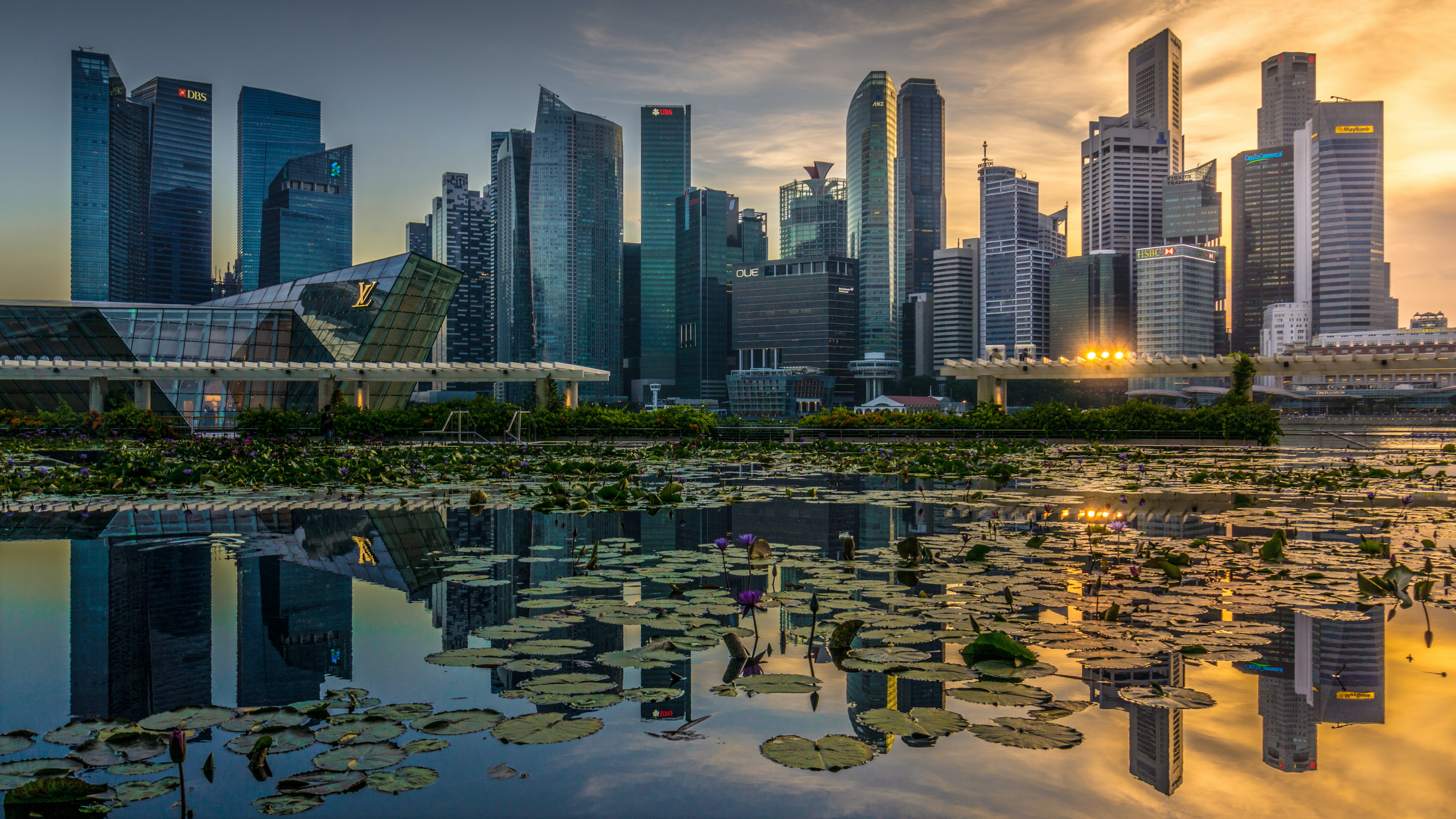 water lily, cities, architecture, city, building, reflection, skyscrapers 32K