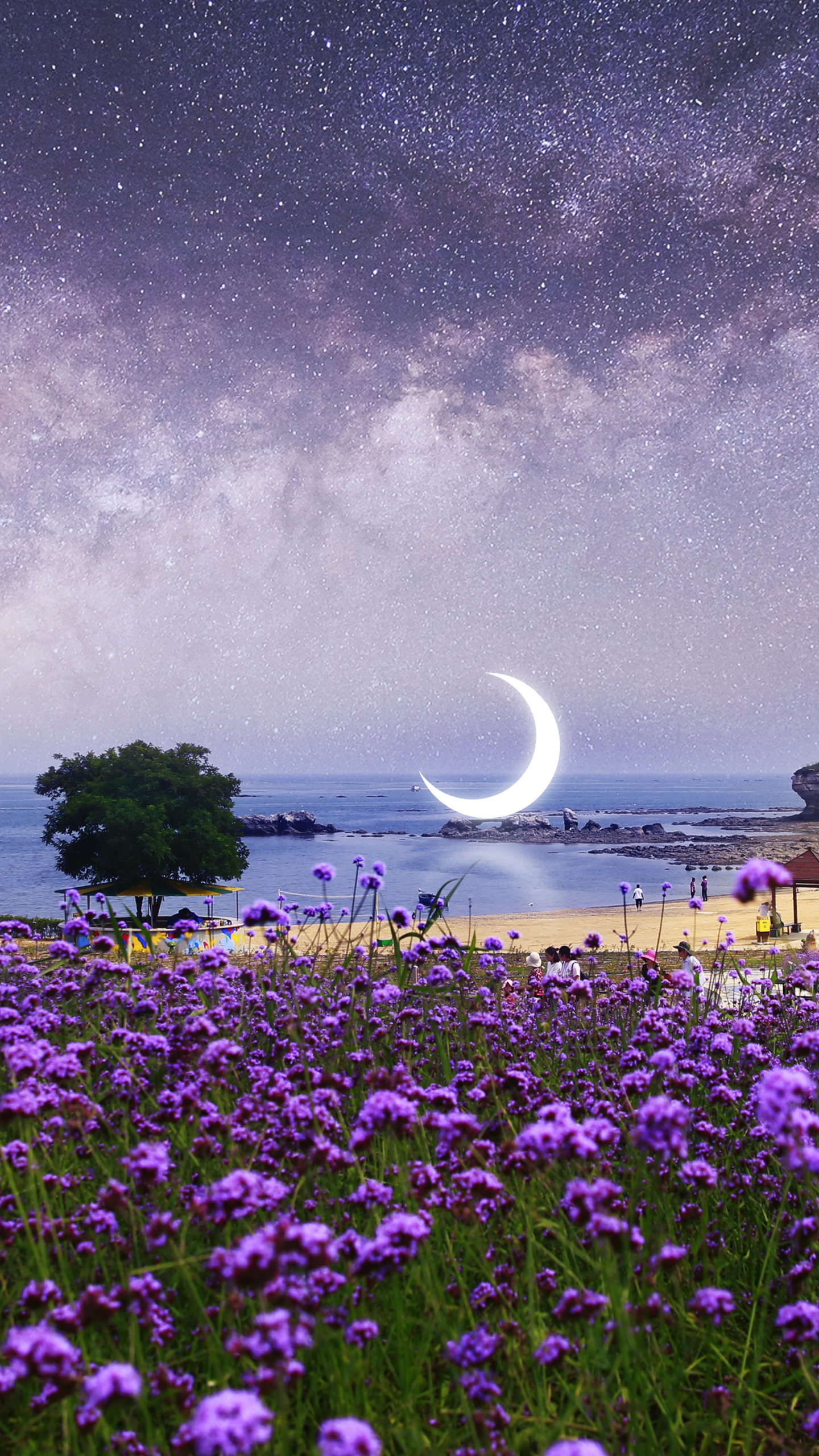 Download mobile wallpaper Beach, Starry Sky, Photography, Crescent, Purple Flower, Manipulation for free.