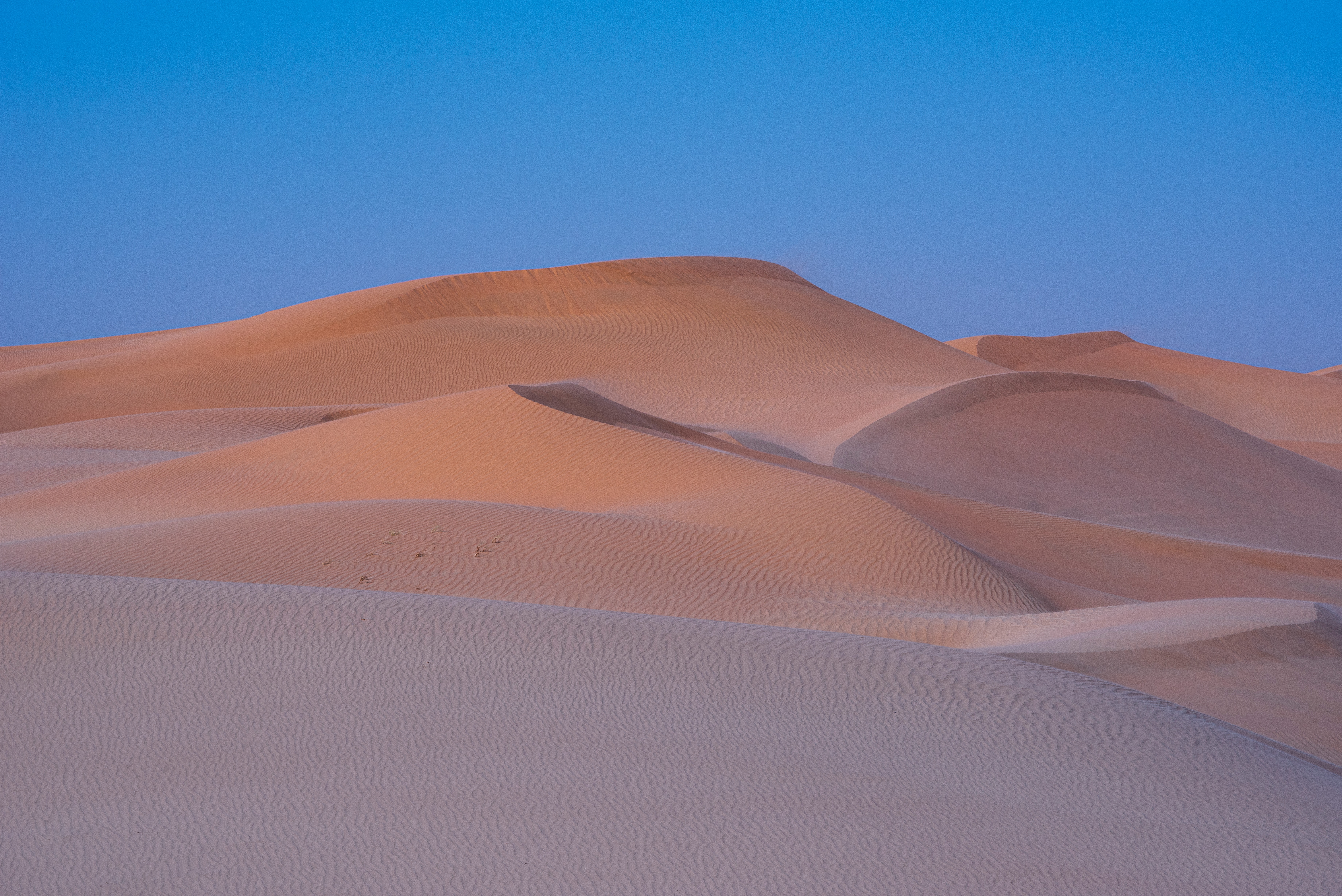 62167 Hintergrundbild herunterladen natur, sand, wüste, düne, dune - Bildschirmschoner und Bilder kostenlos