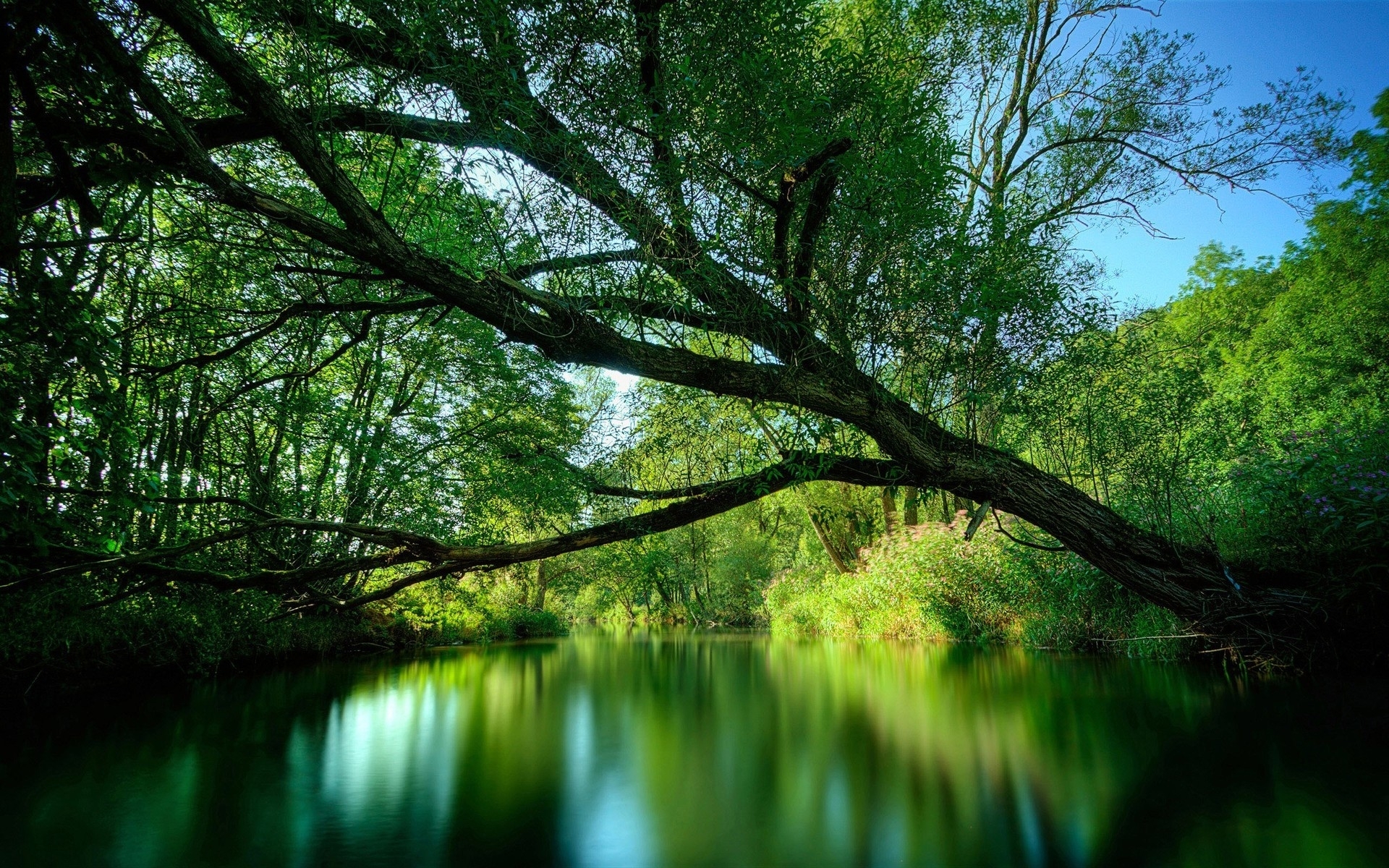 Free download wallpaper Rivers, Landscape, Trees on your PC desktop