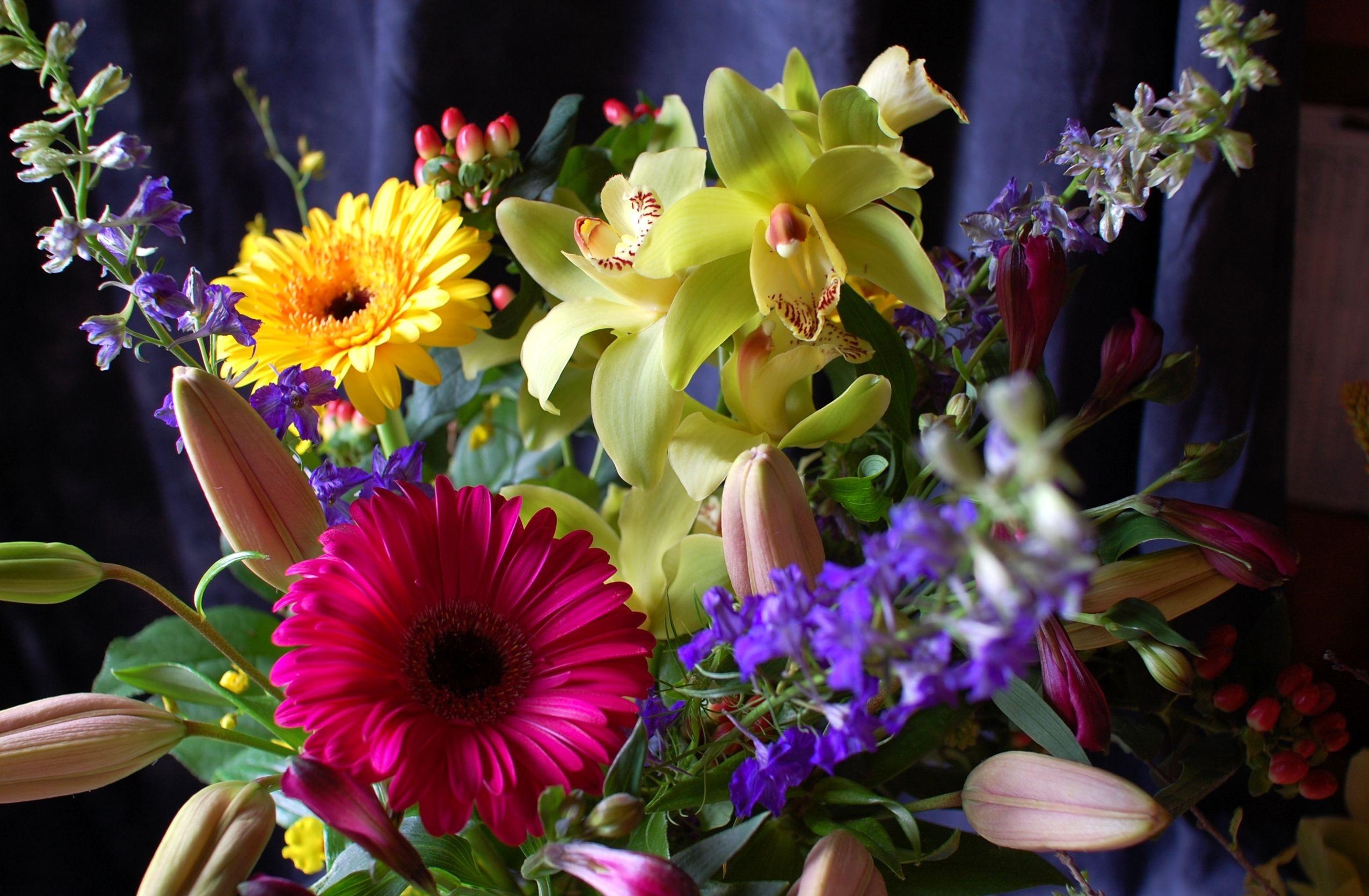 flowers, gerberas, registration, typography, bouquet, composition, orchids