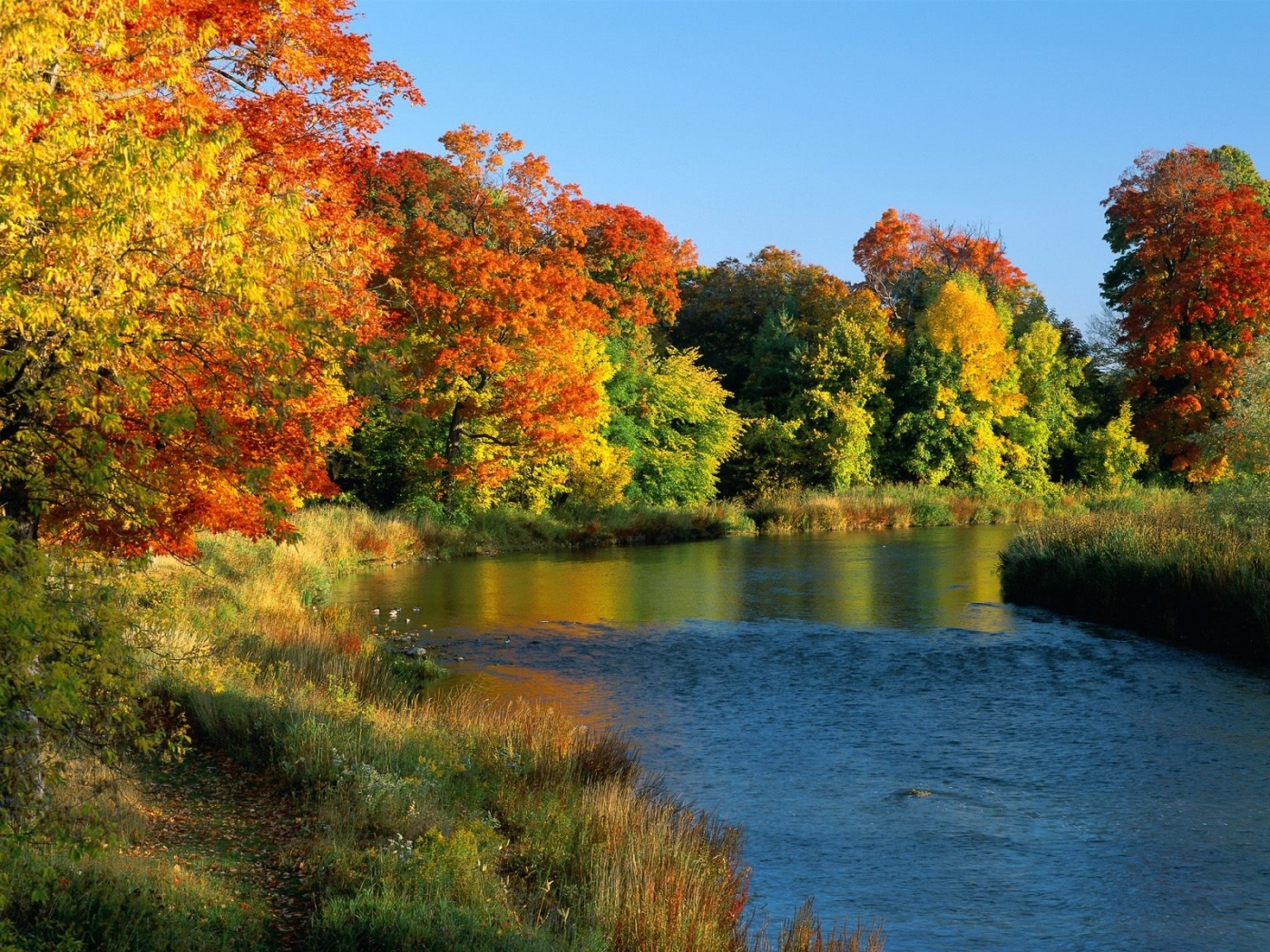 Скачать обои бесплатно Осень, Река, Пейзаж картинка на рабочий стол ПК