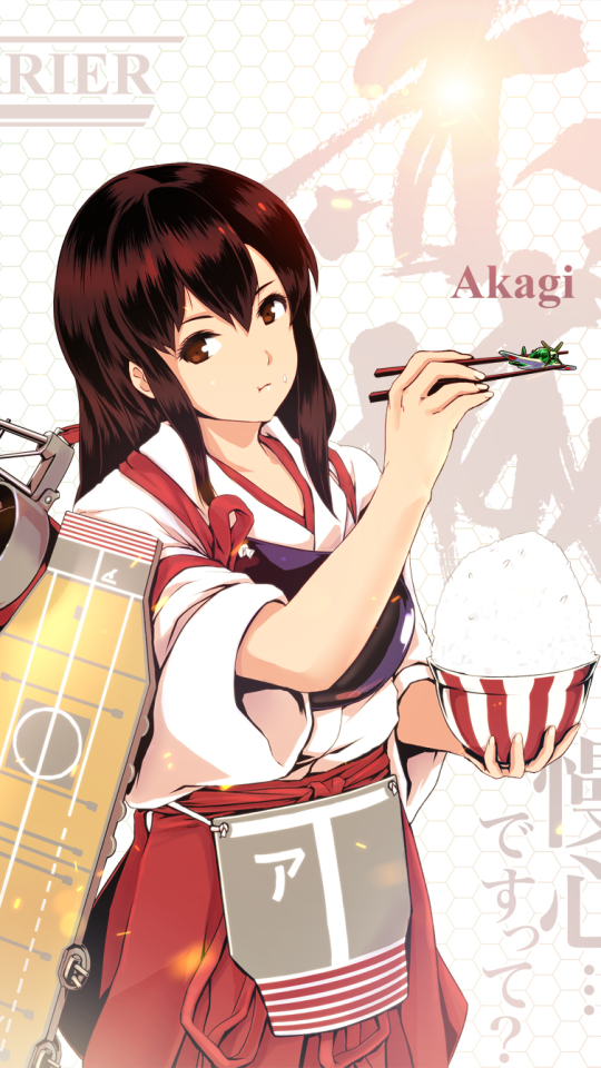 Download mobile wallpaper Anime, Kantai Collection, Akagi (Kancolle), Kaga (Kancolle) for free.