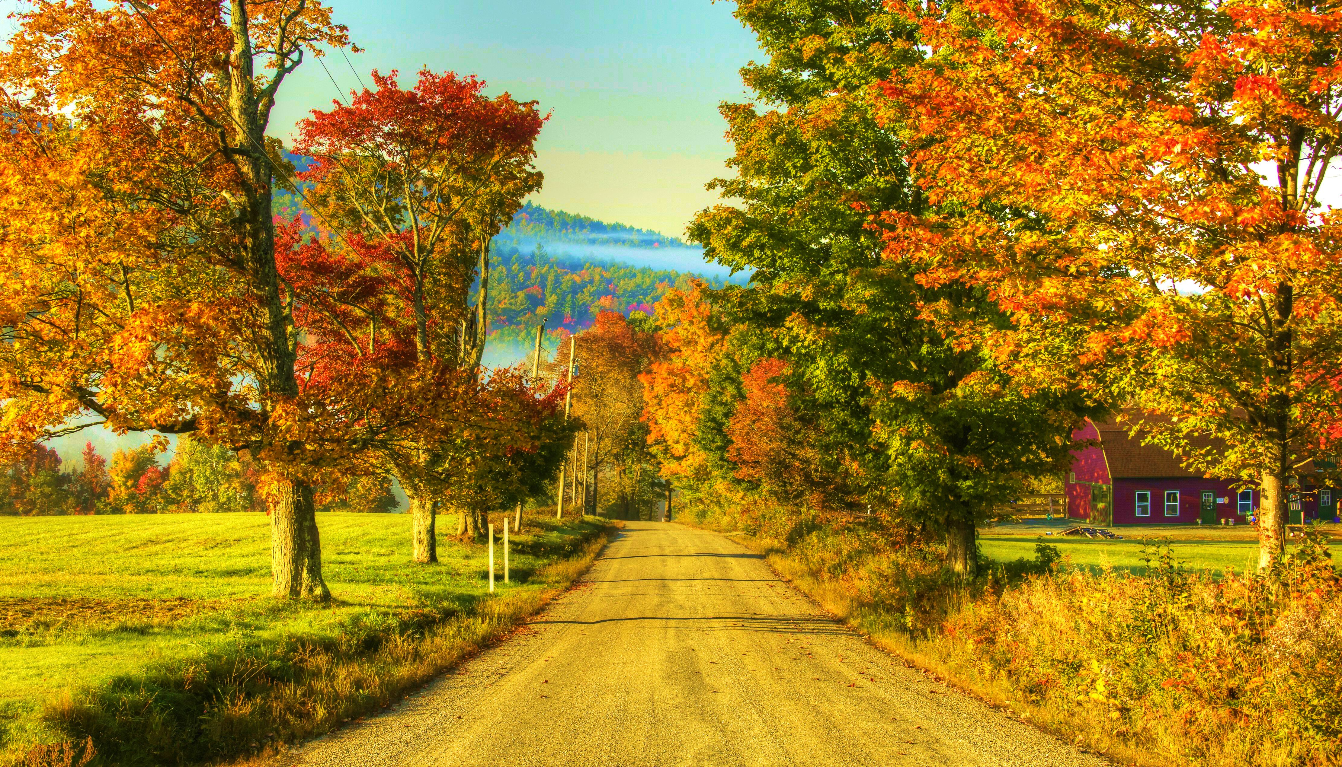 Free download wallpaper Road, Tree, Fall, Man Made, Dirt Road on your PC desktop