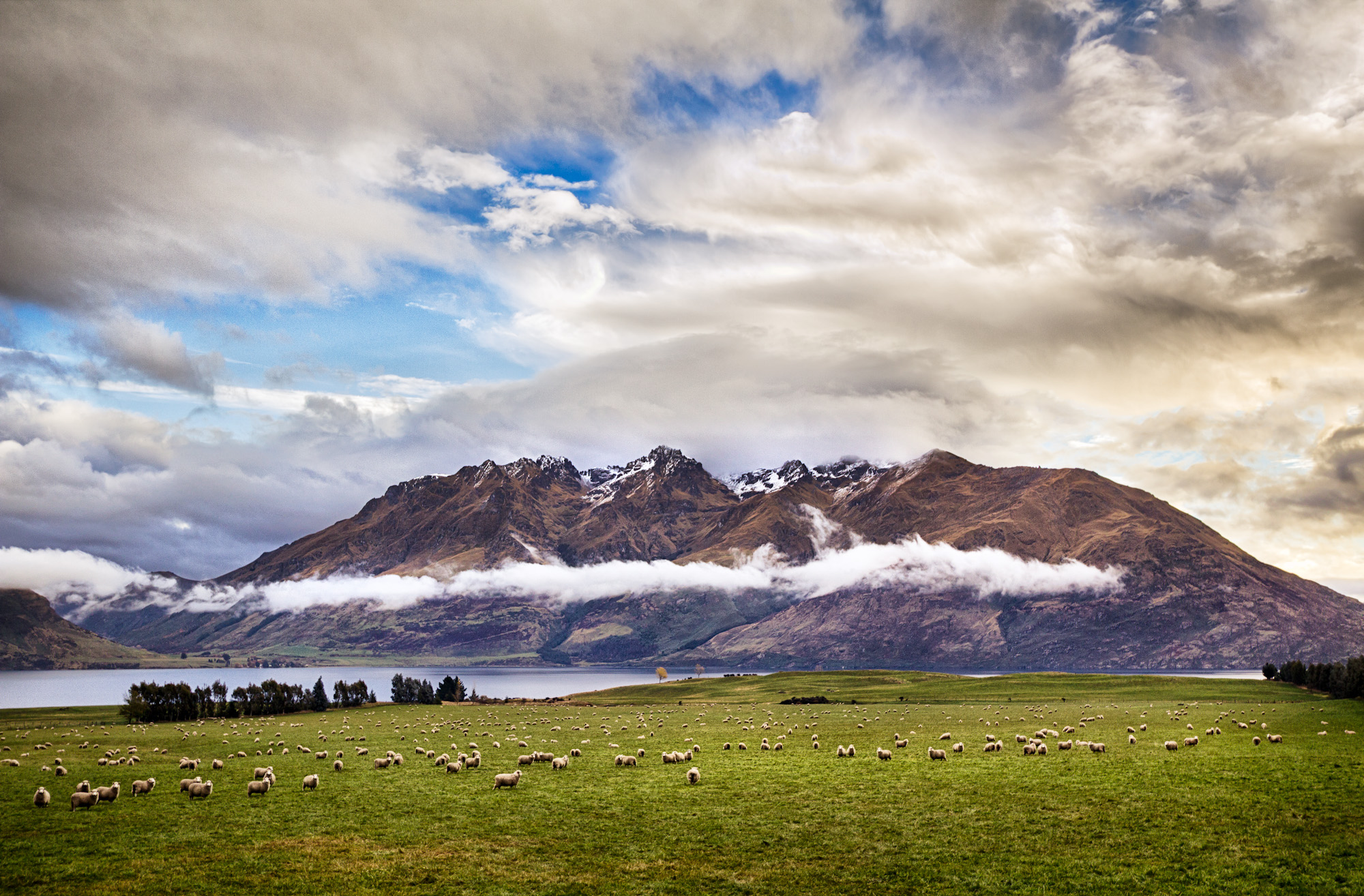 Descarga gratis la imagen Paisaje, Naturaleza, Montañas, Montaña, Nueva Zelanda, Nube, Oveja, Tierra/naturaleza en el escritorio de tu PC