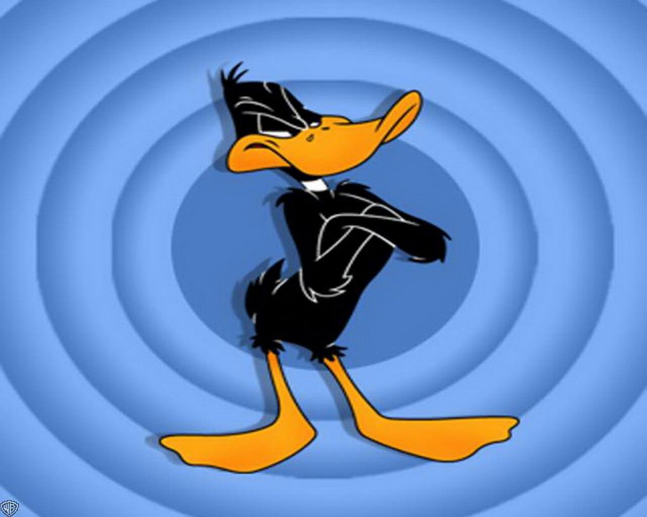 Meilleurs fonds d'écran Daffy Duck pour l'écran du téléphone