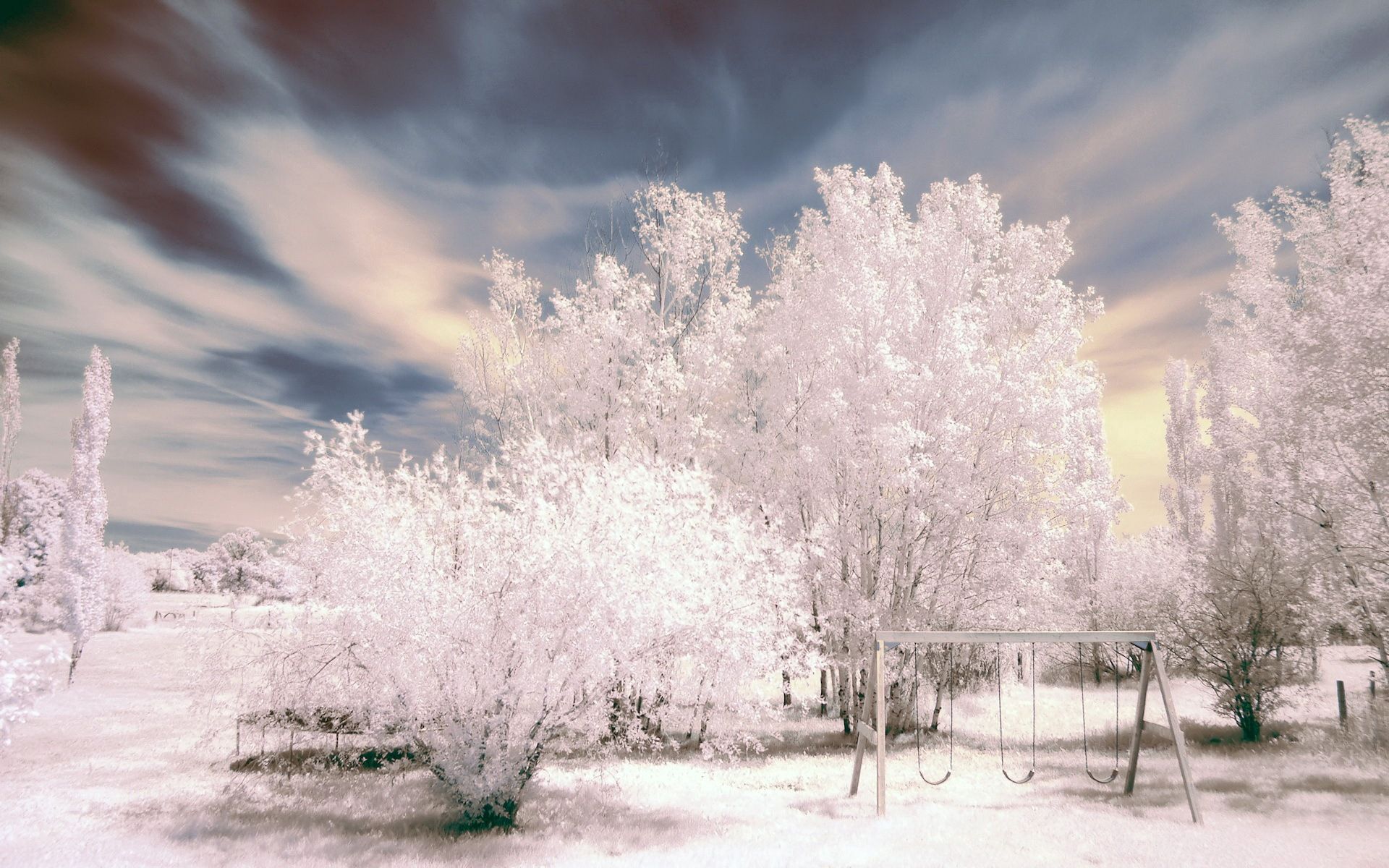 126456 завантажити картинку зима, природа, дерева, небо, сніг, іній, хрипить, гойдалки, свінг - шпалери і заставки безкоштовно