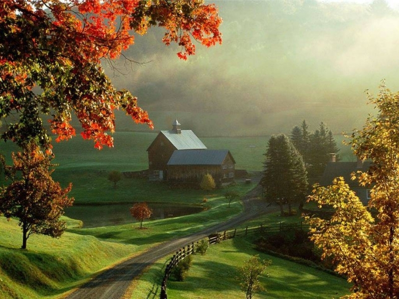 無料モバイル壁紙風景, 秋をダウンロードします。