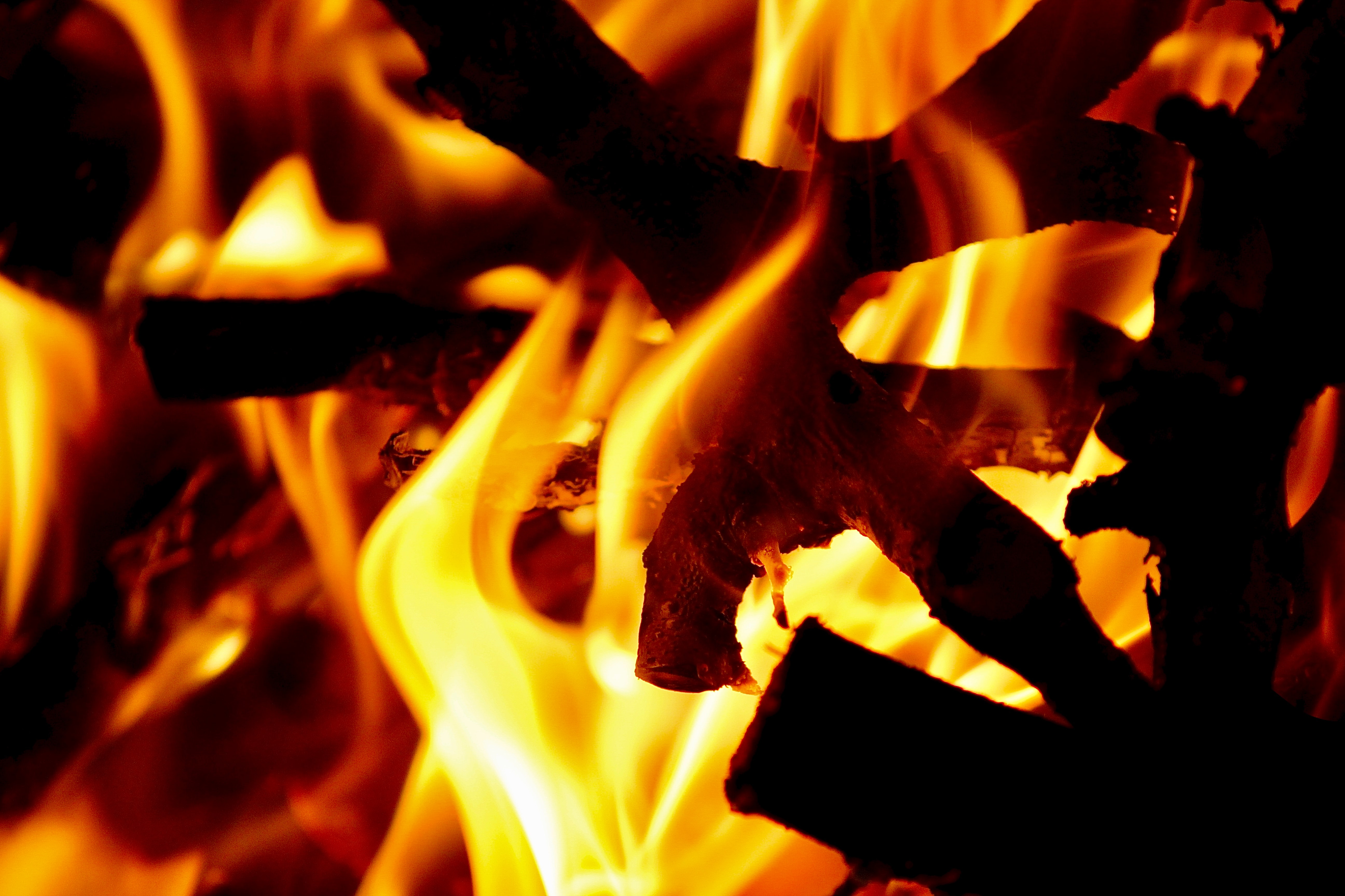 bonfire, fire, dark, flame, logs