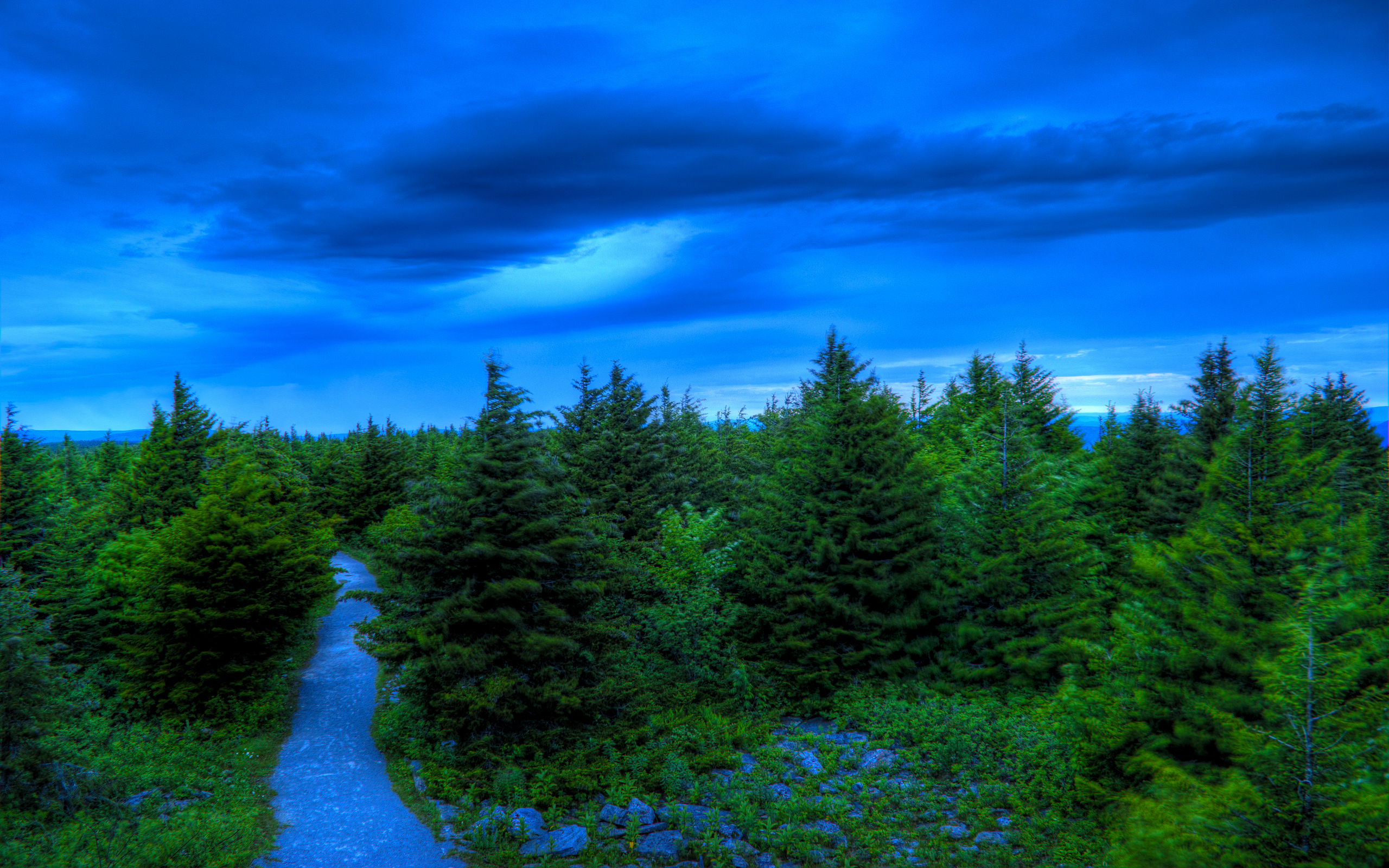 Free download wallpaper Nature, Sky, Tree, Earth, Pine Tree on your PC desktop