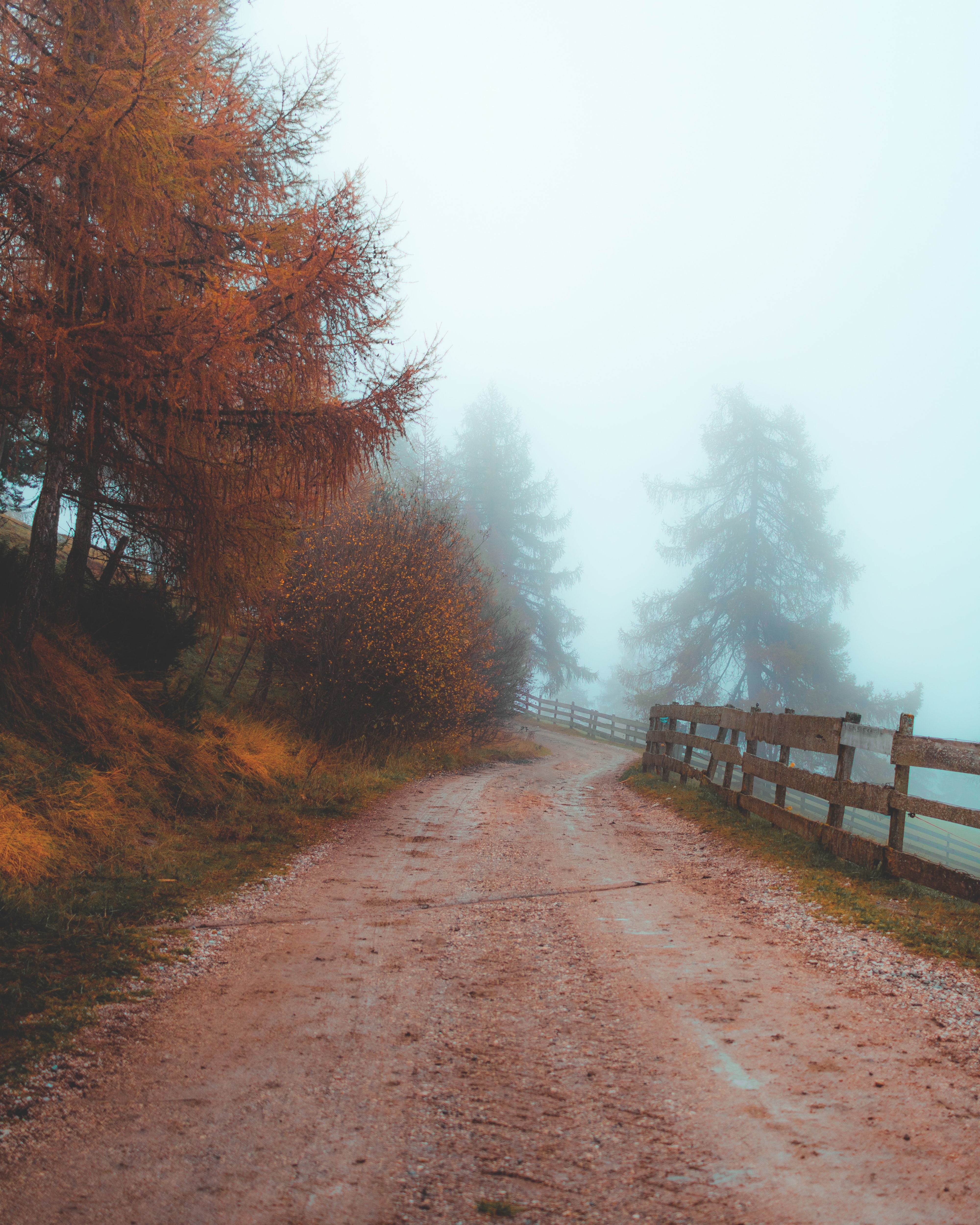 nature, road, fog, fence, dahl, distance Full HD