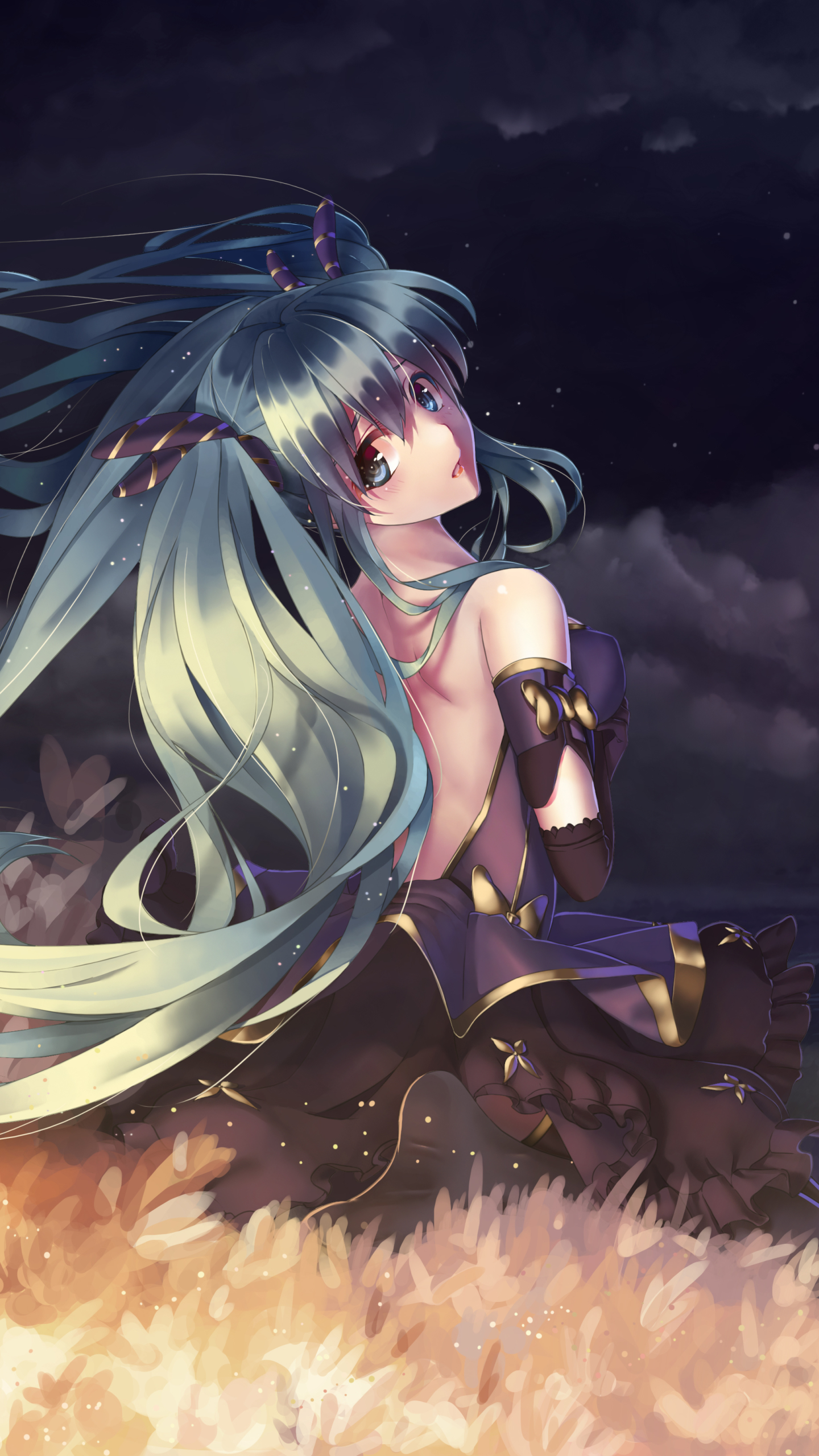 Handy-Wallpaper Vocaloid, Nacht, Hatsune Miku, Animes kostenlos herunterladen.