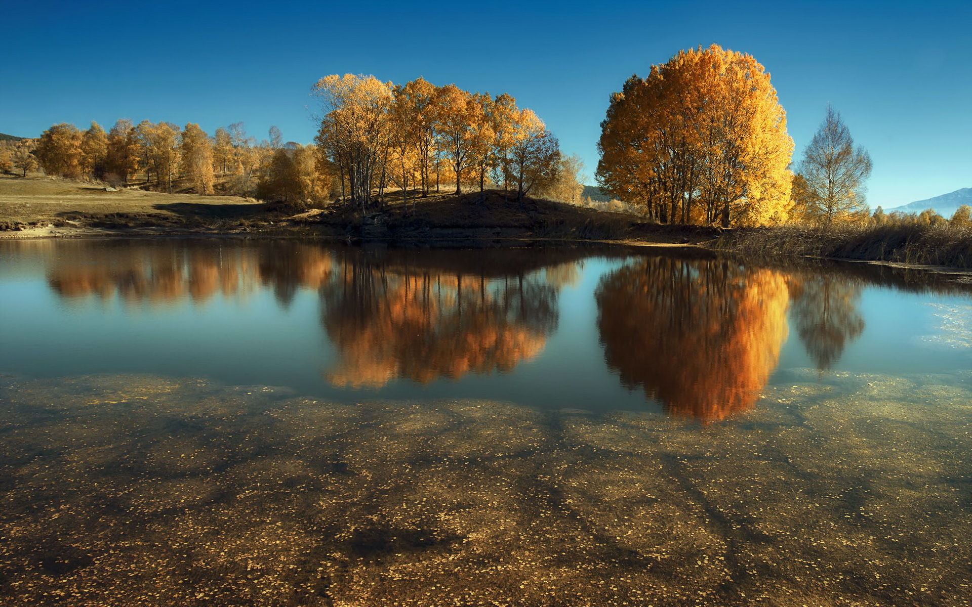 Download mobile wallpaper Landscape, Nature, Lake, Reflection, Tree, Fall, Earth for free.