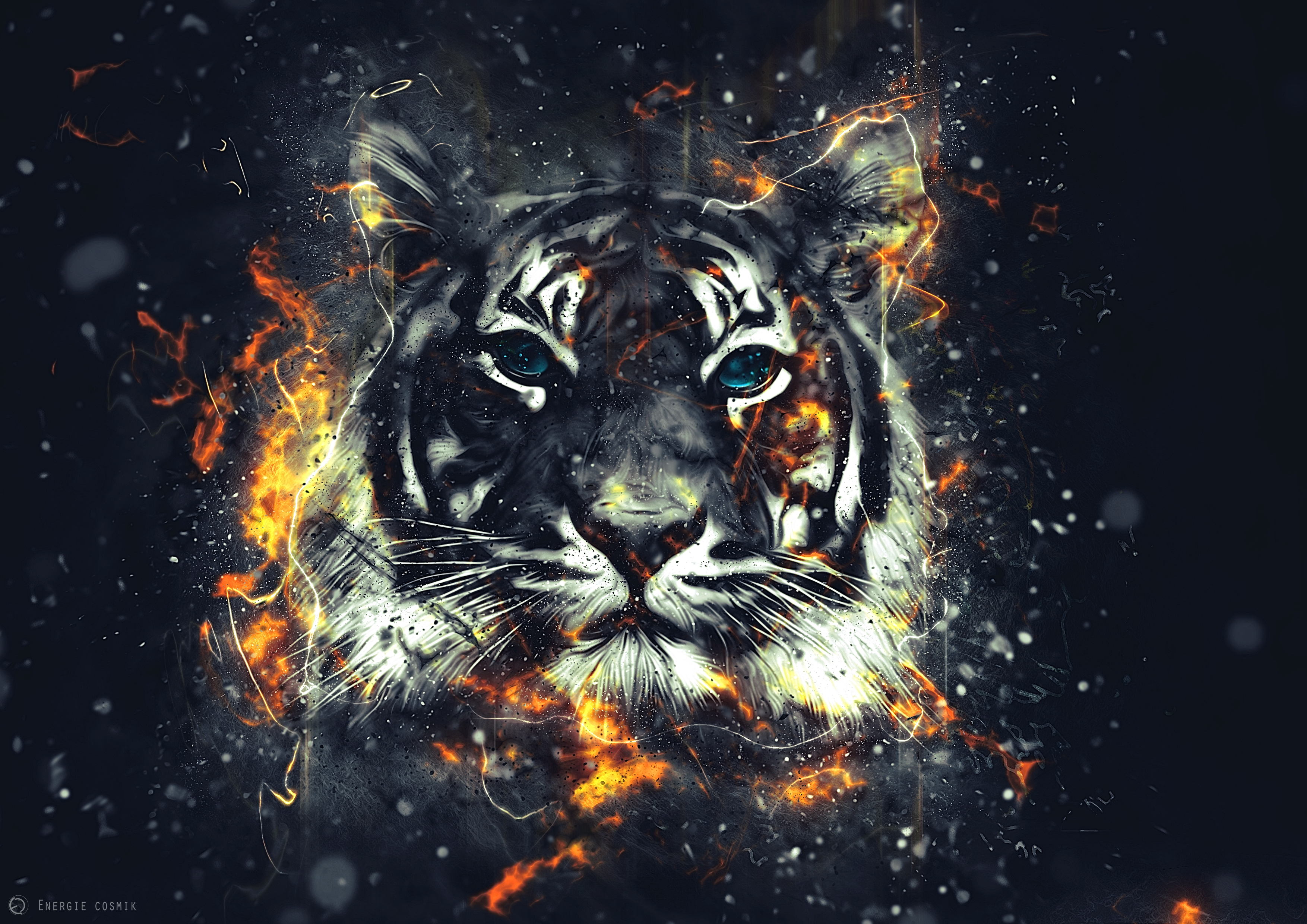 tiger, art, flash, sparks, outbreaks