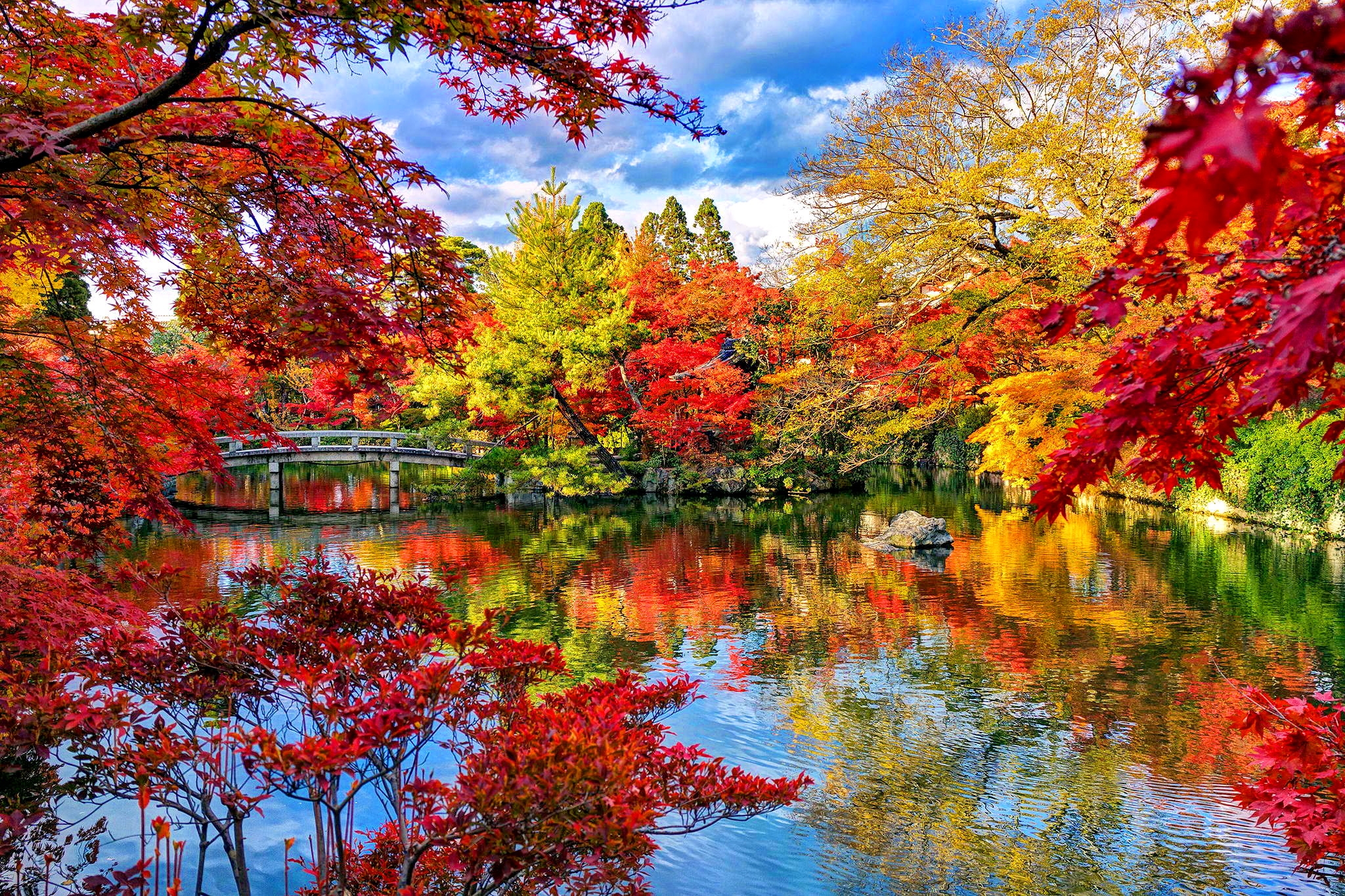 park, garden, japanese garden, man made, bridge, fall, forest, lake, tree