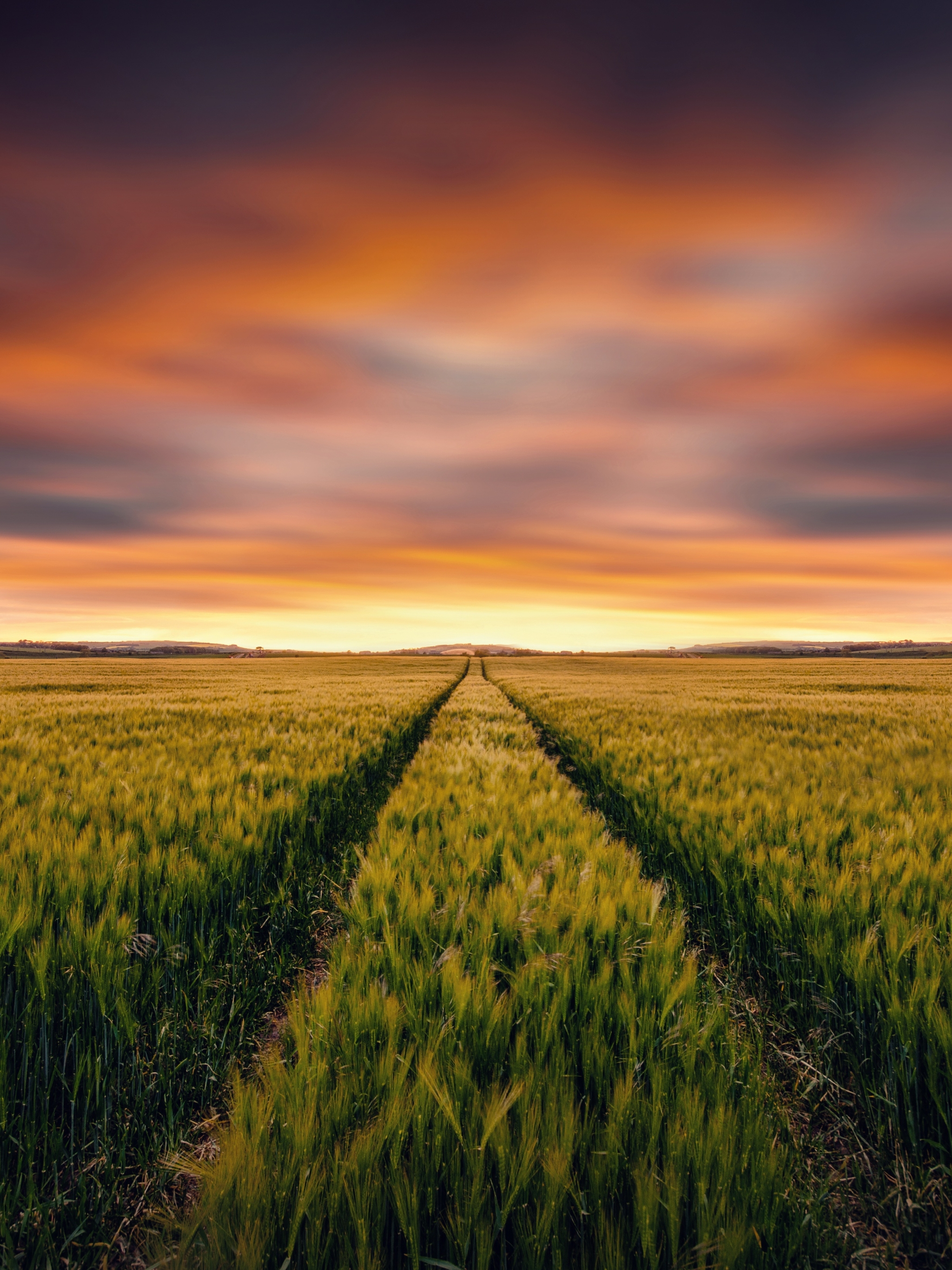 Download mobile wallpaper Nature, Sunset, Summer, Wheat, Earth, Field for free.